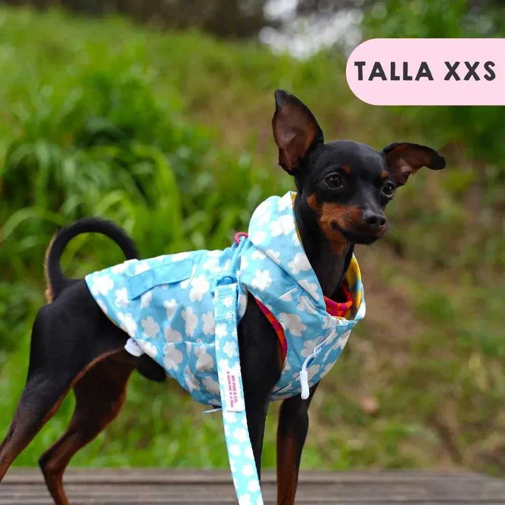 Chubasquero para perro azul con nubes, capucha y abertura frontal