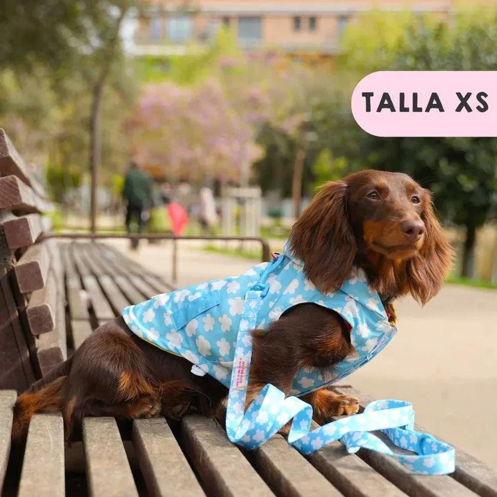 Chubasquero para perro azul con nubes y capucha, con correa ajustable