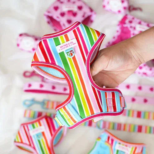 ARNES AJUSTABLE ARCOIRIS - Agatha Ruiz de la Prada