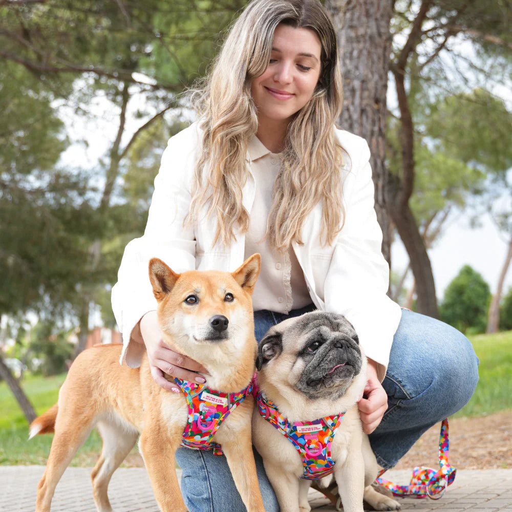 ALL-TERRAIN HARNESS HEARTS