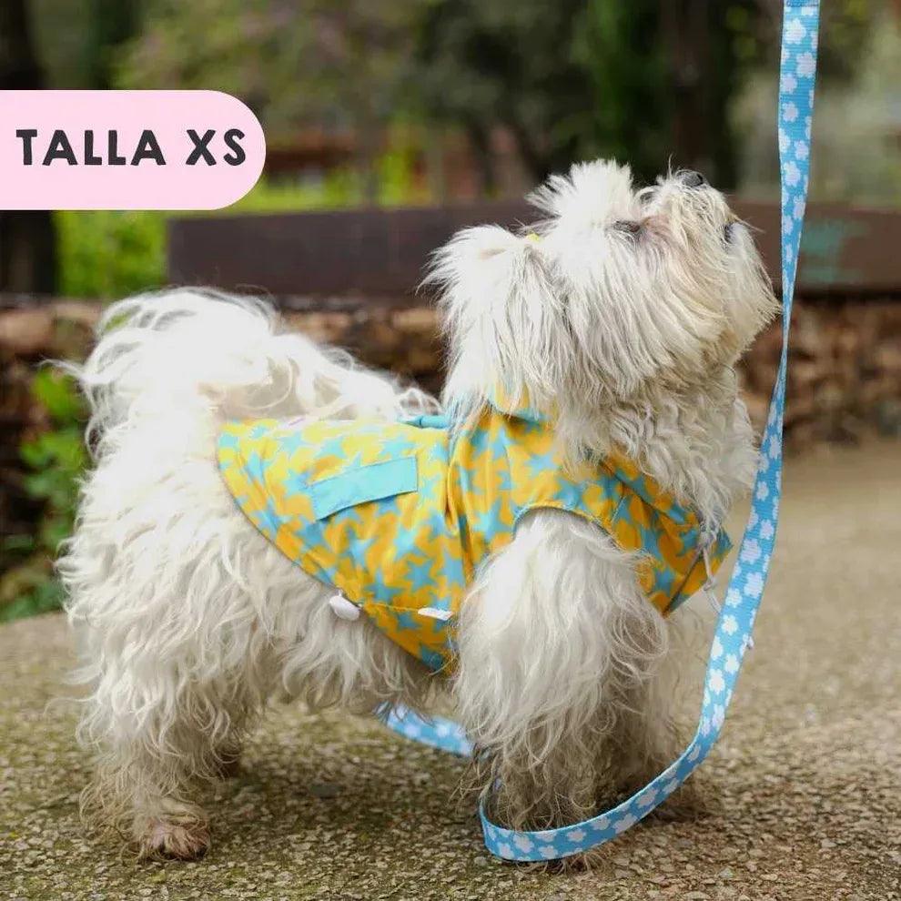 Chubasquero reversible para perro, amarillo con estrellas y capucha azul