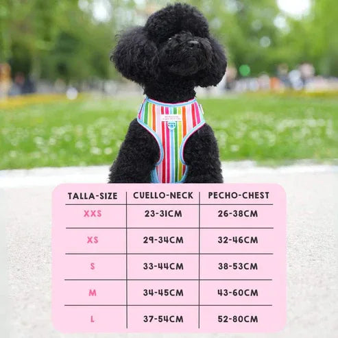 ARNES AJUSTABLE ARCOIRIS - Agatha Ruiz de la Prada