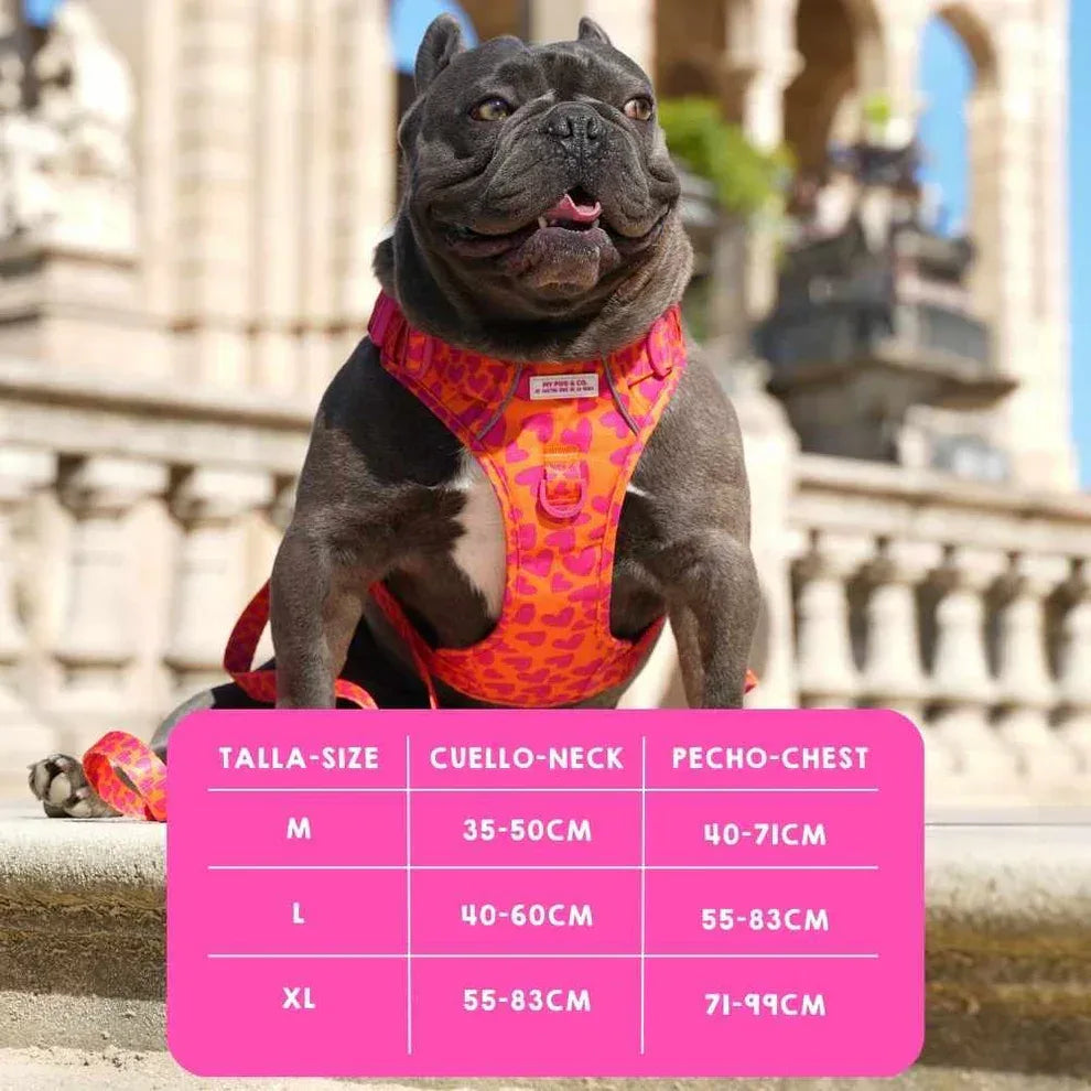 ARNES TODOTERRENO CORAZONES - Agatha Ruiz de la Prada