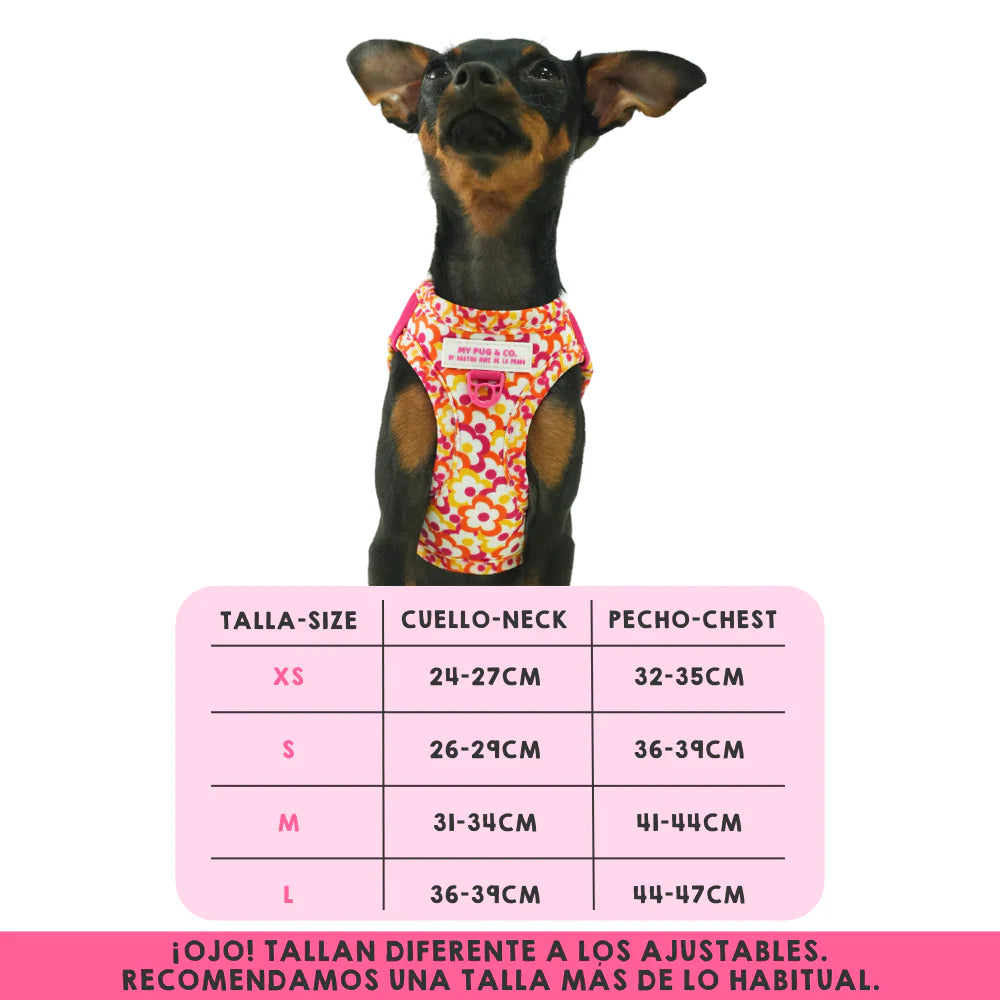 BODY HARNESS FLOWERS POP