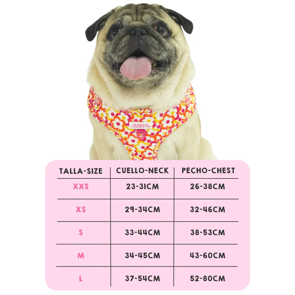 ARNES AJUSTABLE FLORES POP - Agatha Ruiz de la Prada