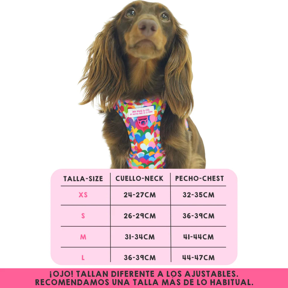 BODY HARNESS POP HEARTS