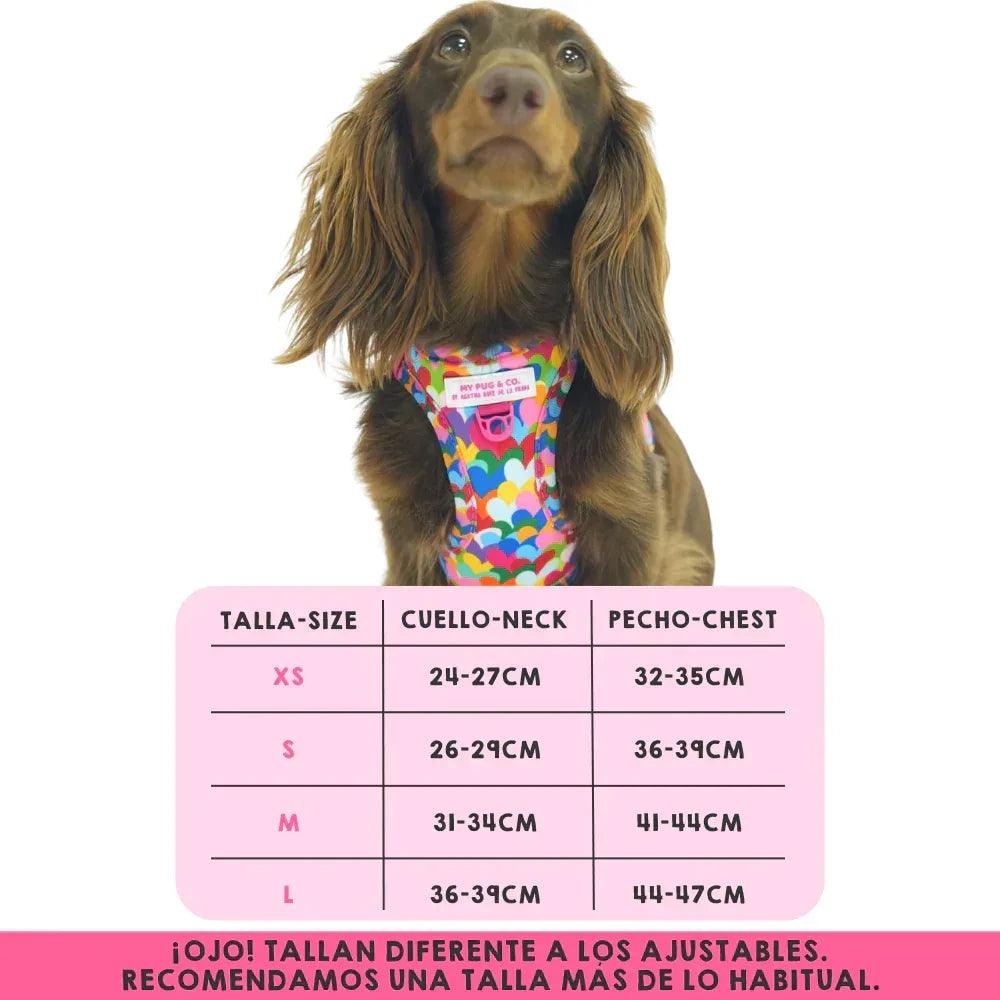 Body para perro con estampado multicolor de corazones y cierre frontal rosa.