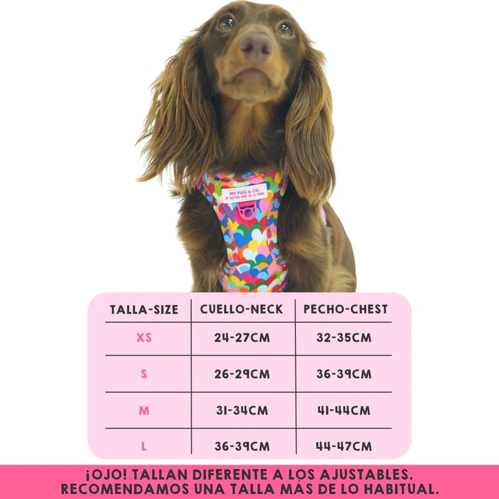 BODY CORAZONES POP - Agatha Ruiz de la Prada