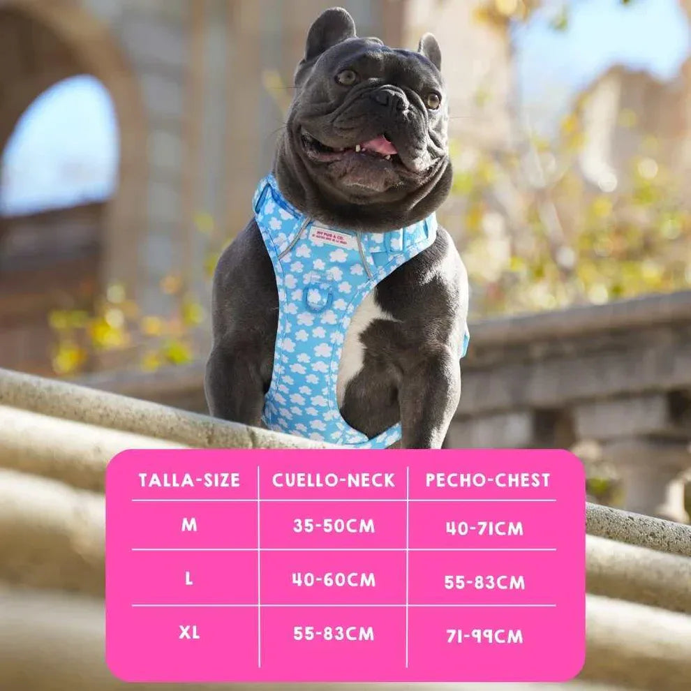 ARNES TODOTERRENO NUBES - Agatha Ruiz de la Prada