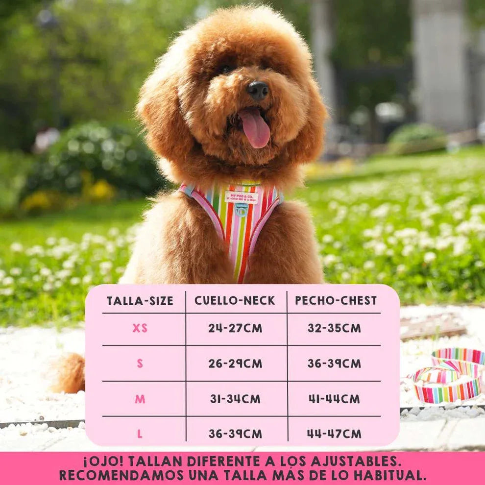 BODY AJUSTABLE ARCOIRIS - Agatha Ruiz de la Prada