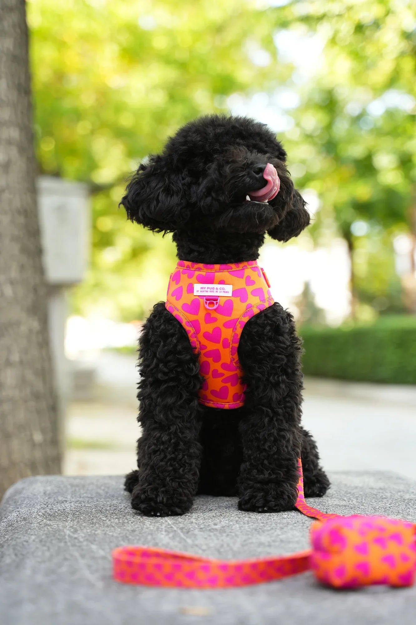 ARNES AJUSTABLE CORAZONES - Agatha Ruiz de la Prada