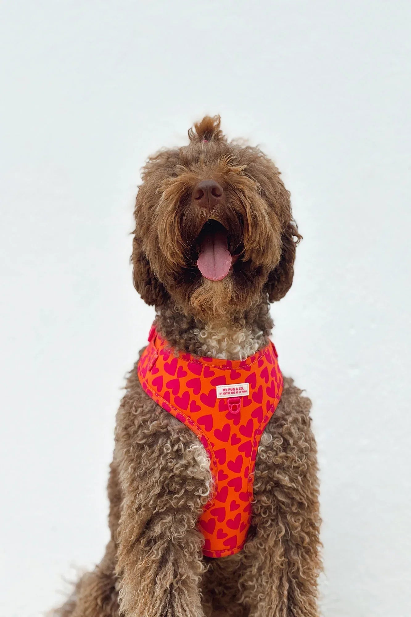 ARNES AJUSTABLE CORAZONES - Agatha Ruiz de la Prada