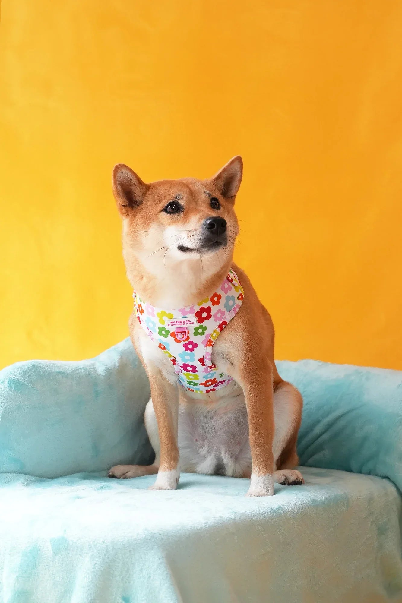 ARNES AJUSTABLE FLORES - Agatha Ruiz de la Prada