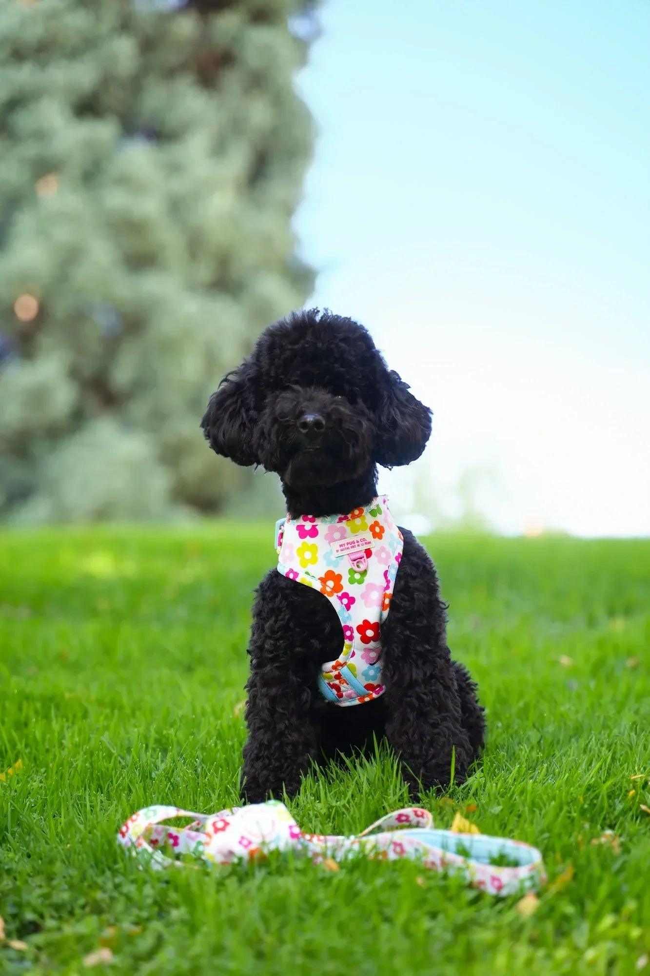 ARNES AJUSTABLE FLORES - Agatha Ruiz de la Prada
