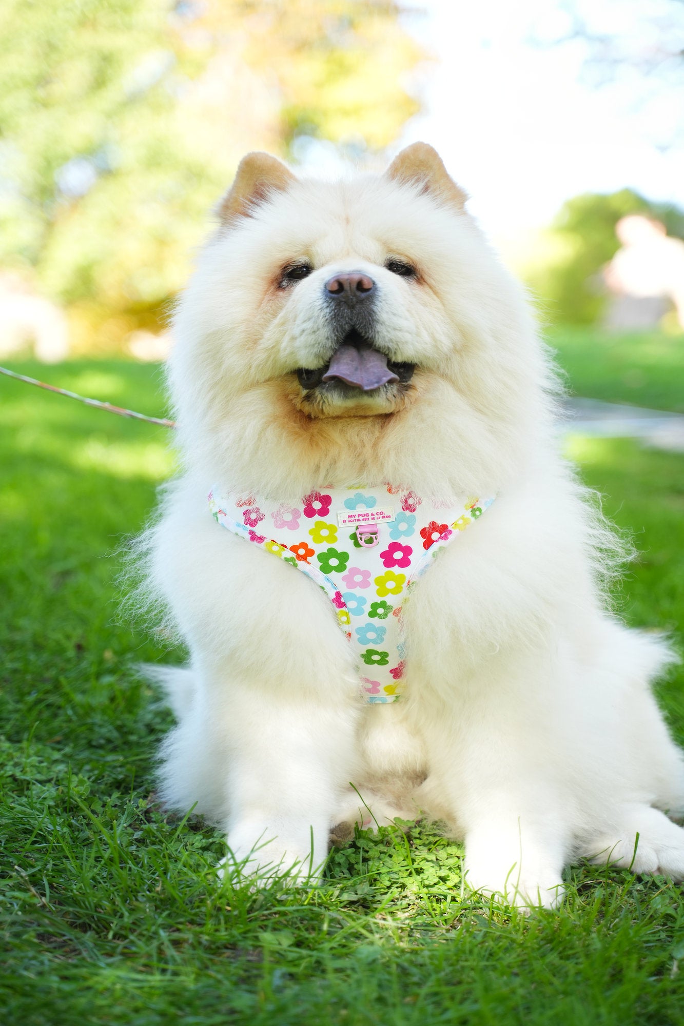 ARNES AJUSTABLE FLORES