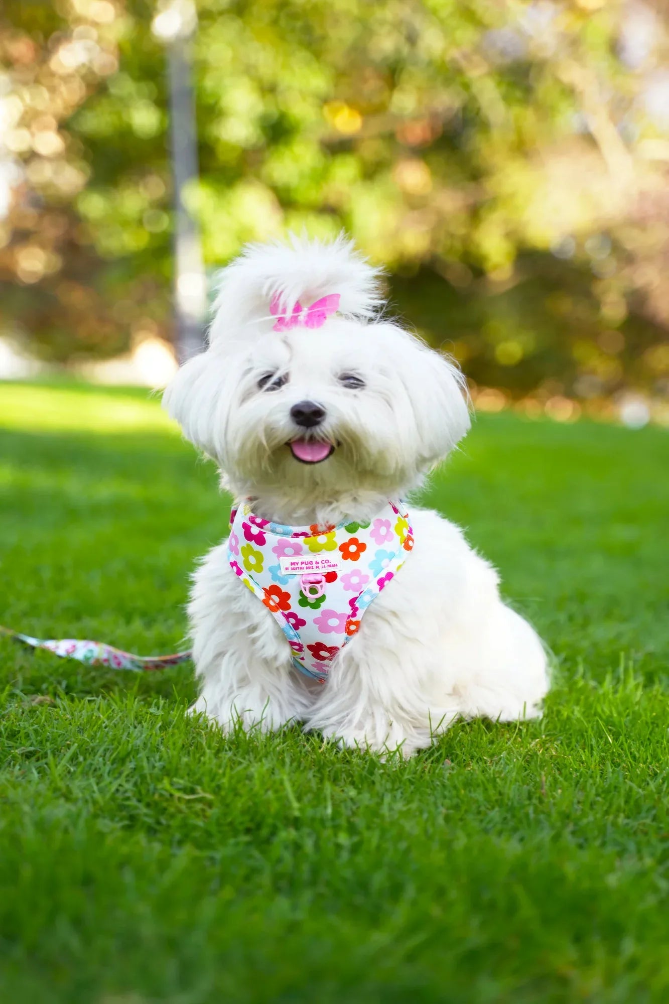 ARNES AJUSTABLE FLORES - Agatha Ruiz de la Prada