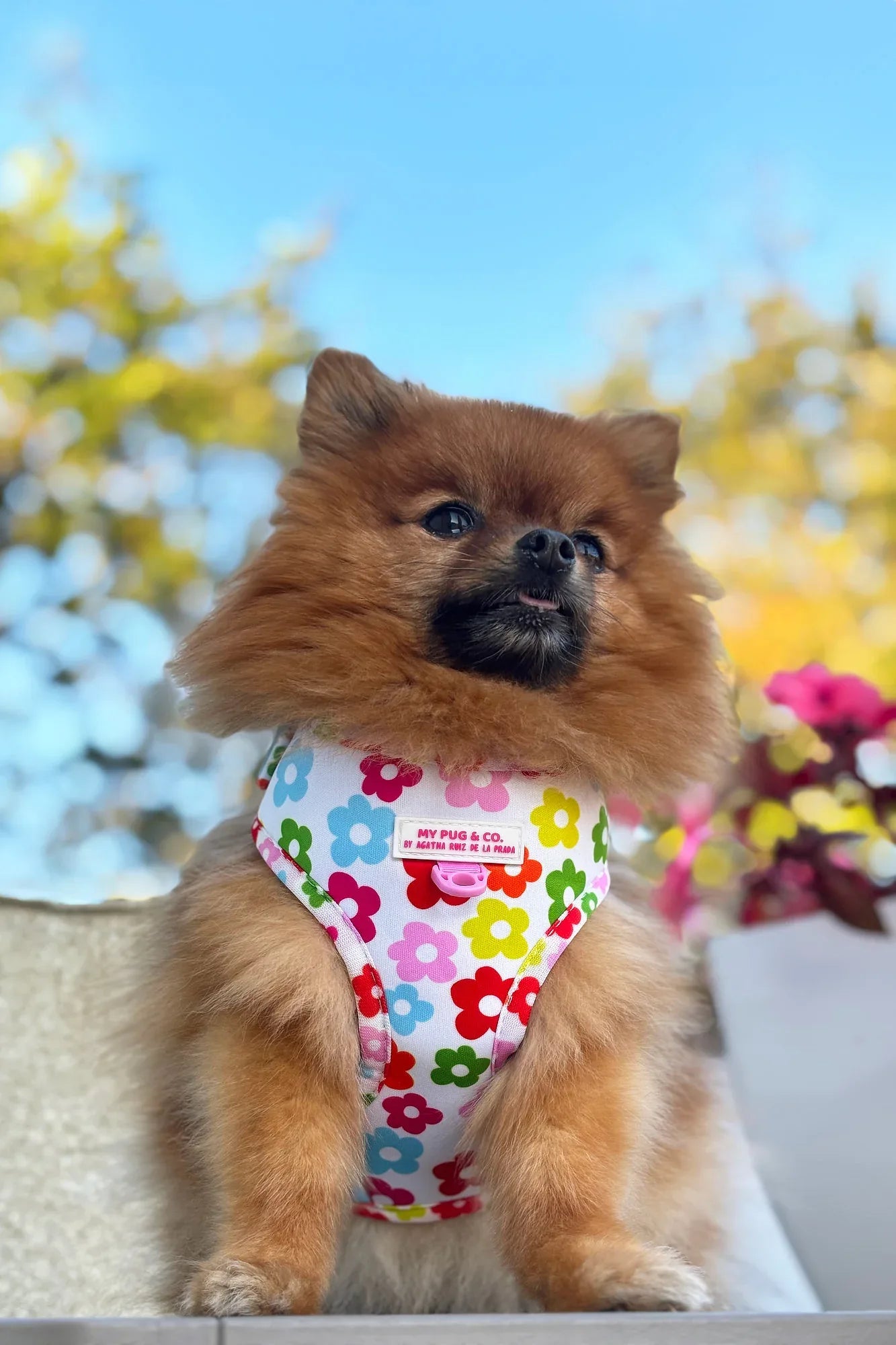 ARNES AJUSTABLE FLORES - Agatha Ruiz de la Prada