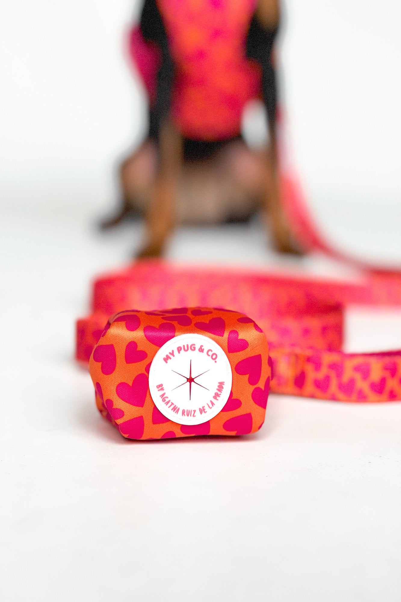 PORTA BOLSAS CORAZONES