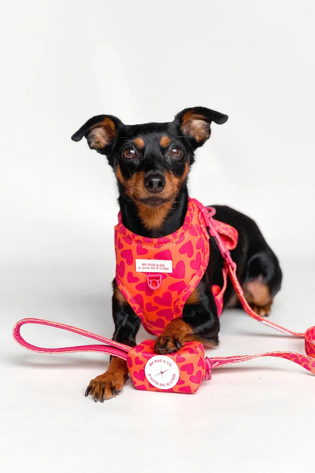 PORTA BOLSAS CORAZONES - Agatha Ruiz de la Prada