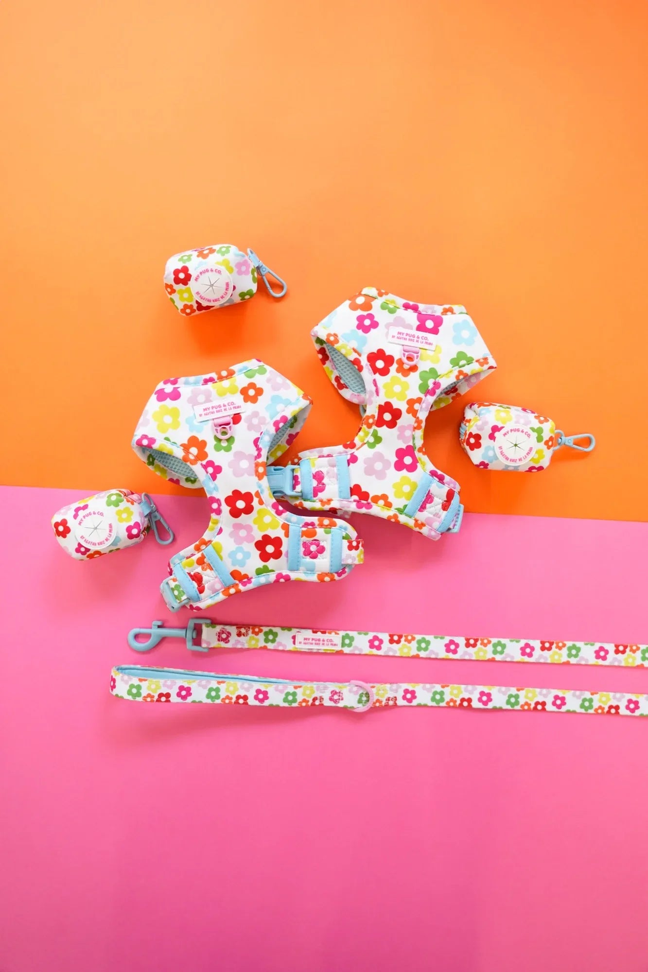 CORREA FLORES - Agatha Ruiz de la Prada