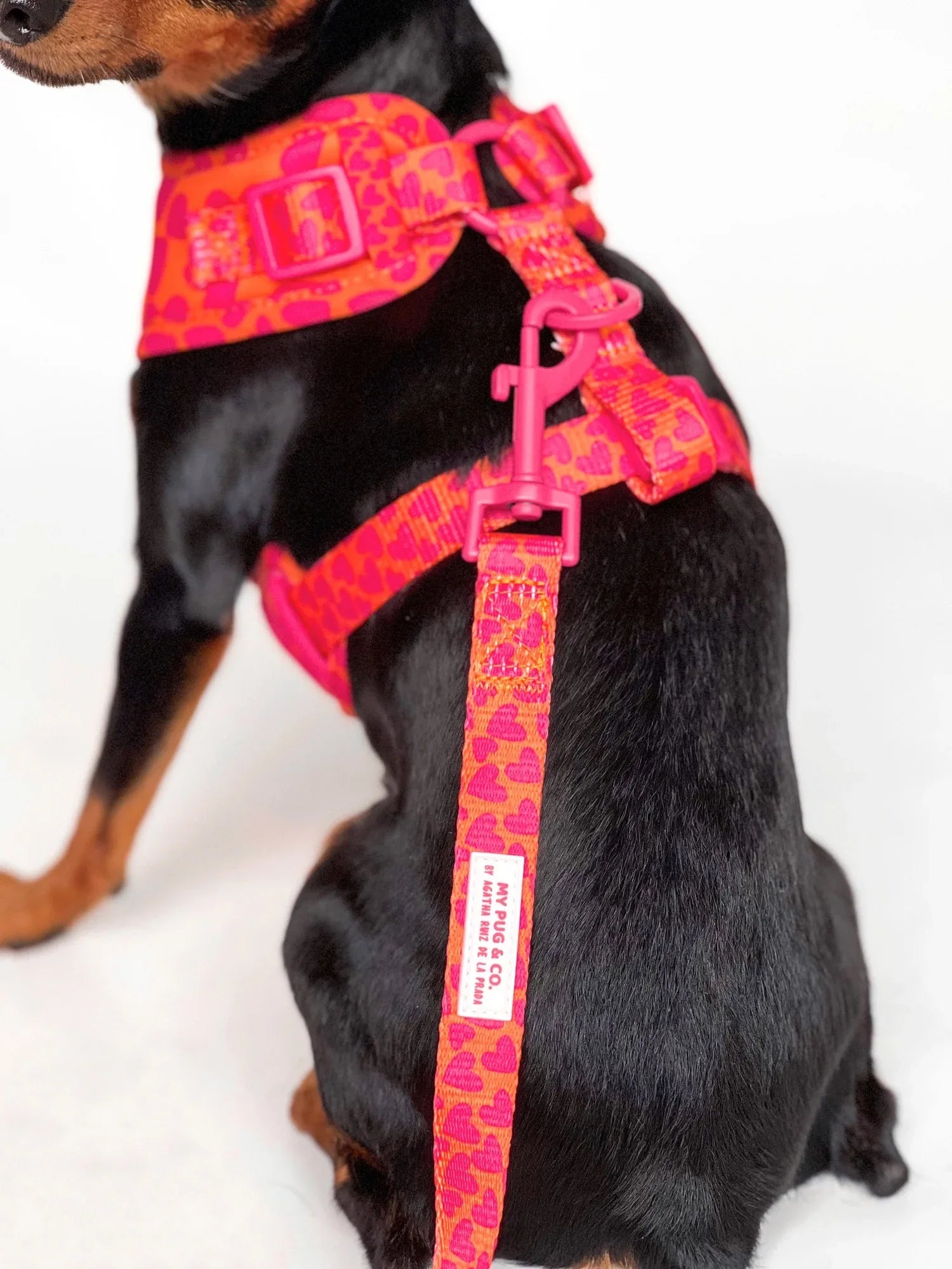 CORREA CORAZONES - Agatha Ruiz de la Prada