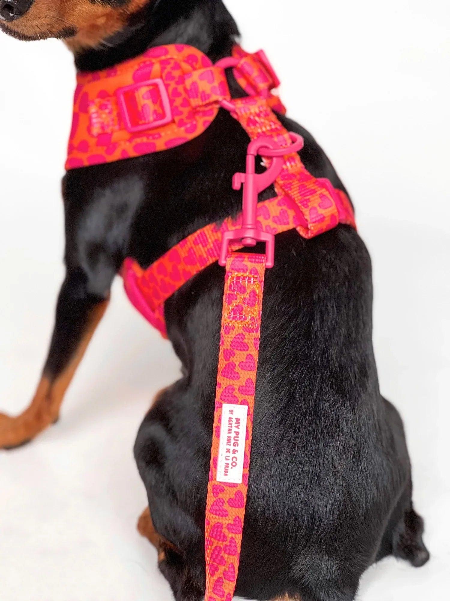 Correa para mascotas con estampado de corazones rosa y mosquetón metálico