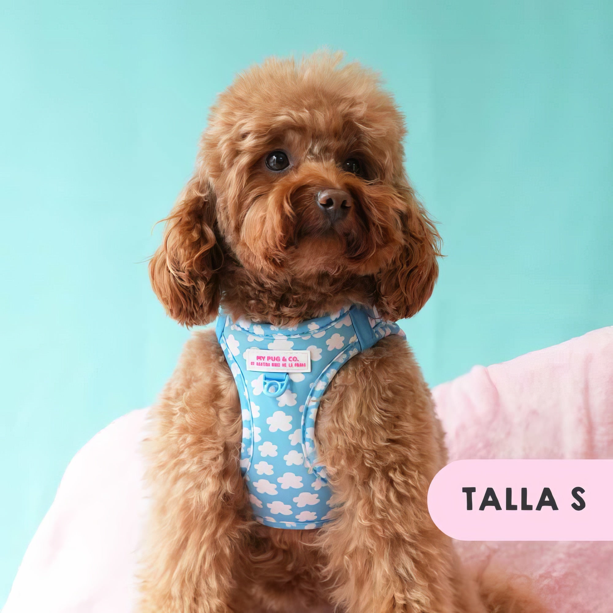 BODY AJUSTABLE NUBES