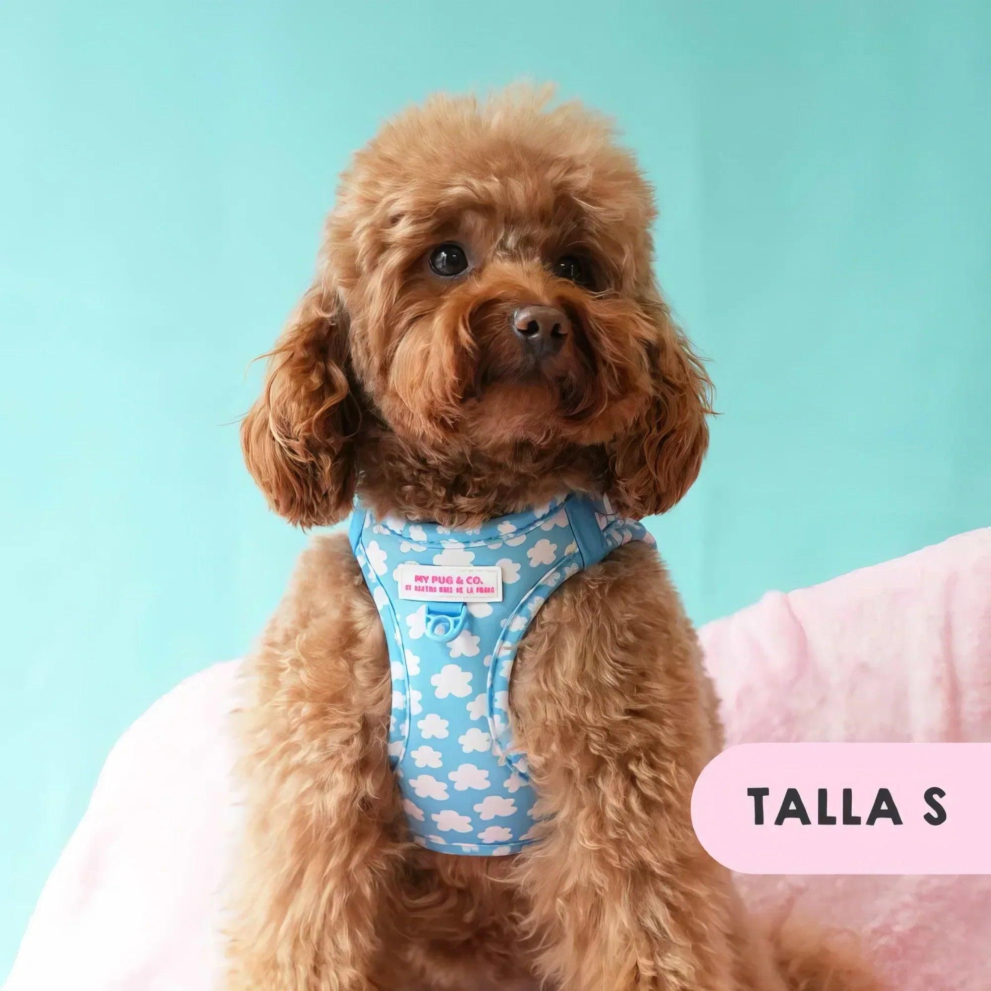 Body para perro azul con nubes blancas, aberturas para patas; talla S