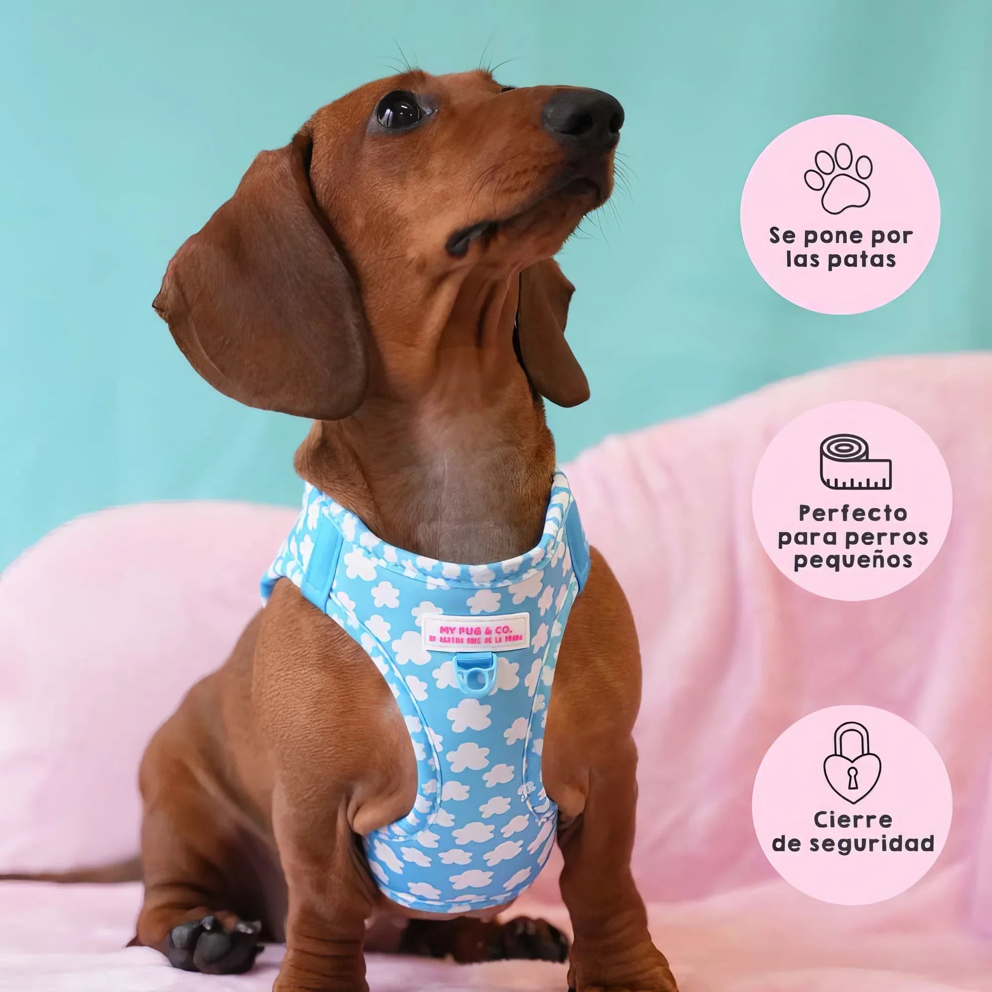 BODY AJUSTABLE NUBES - Agatha Ruiz de la Prada