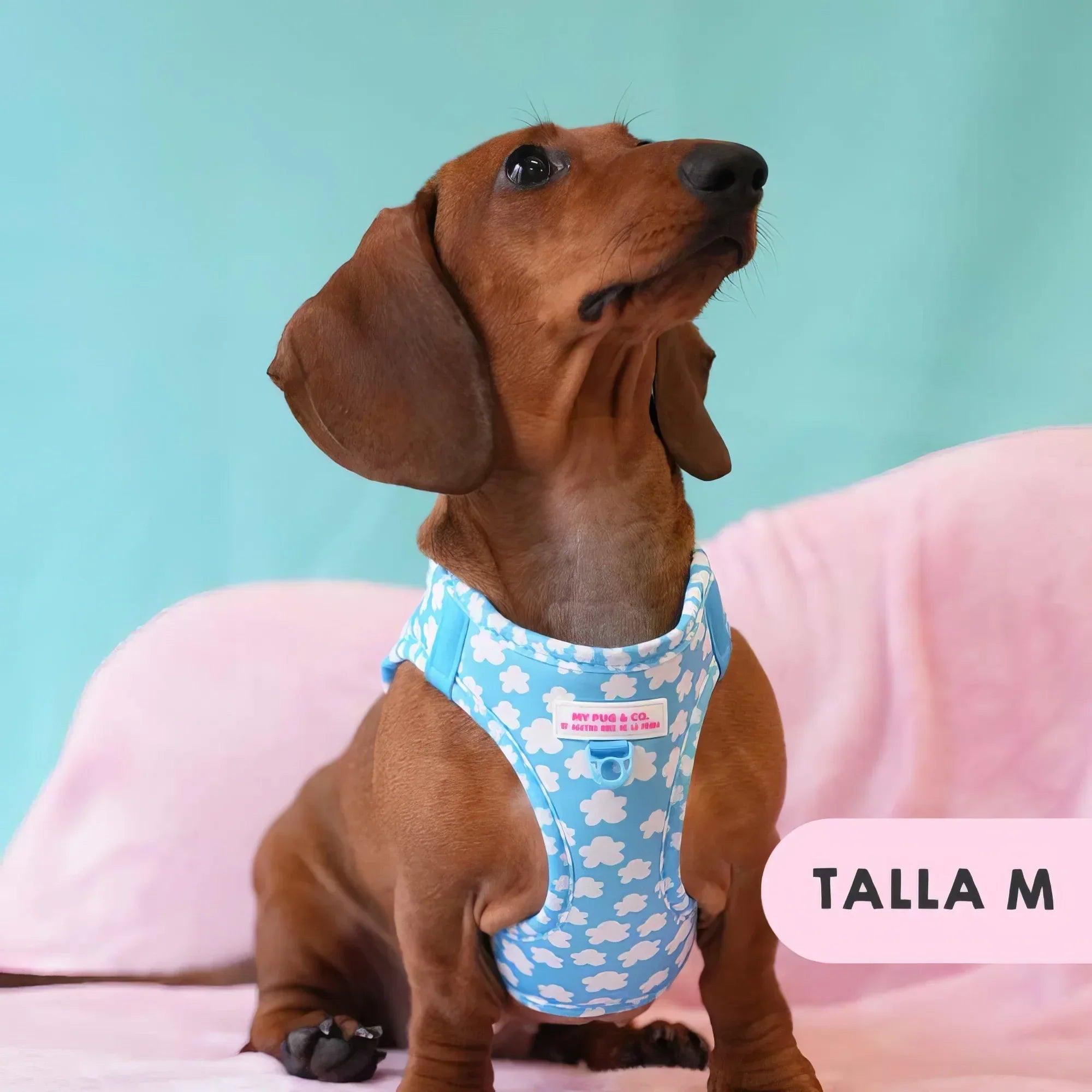 Body para perro azul con nubes blancas, aberturas para patas; talla M