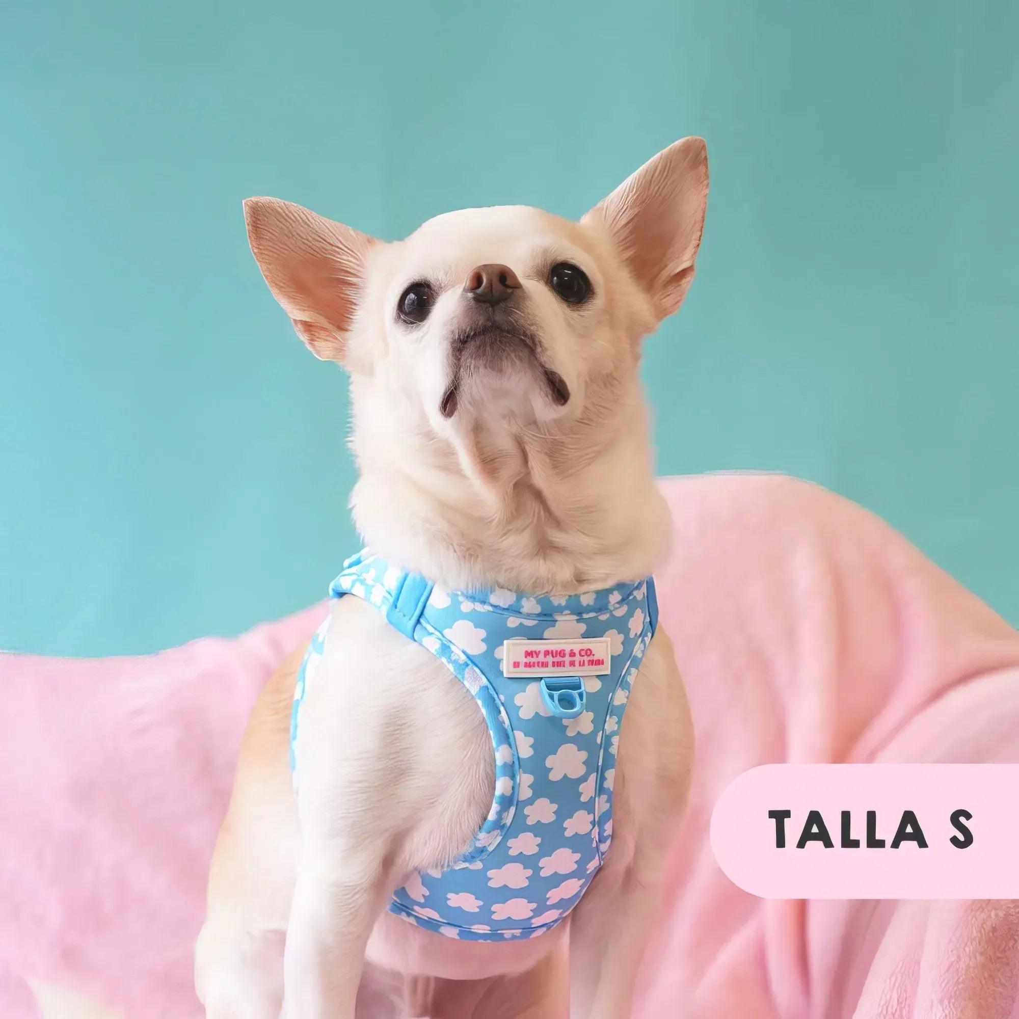 Body para perro azul con nubes blancas, aberturas para patas; talla S