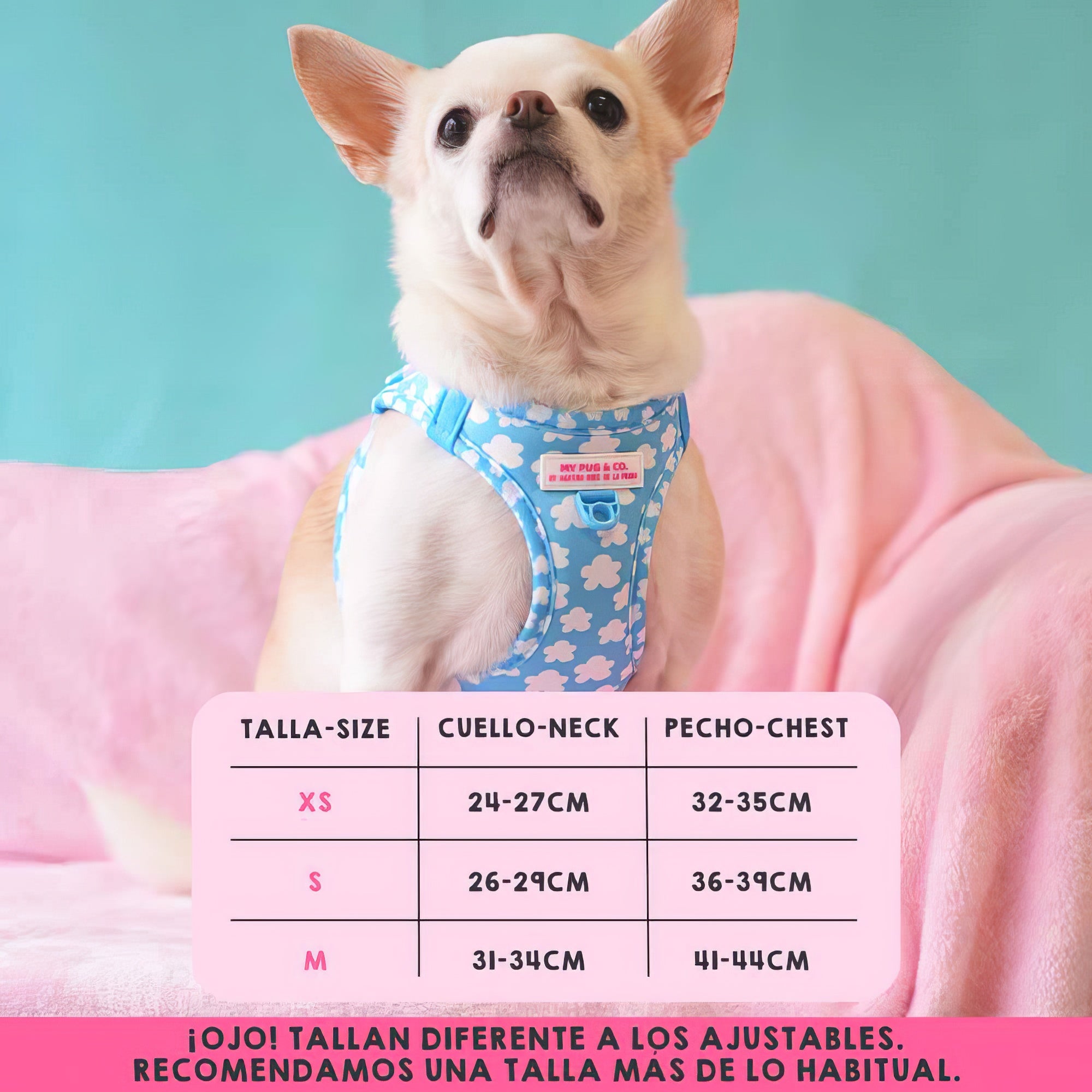 BODY AJUSTABLE NUBES