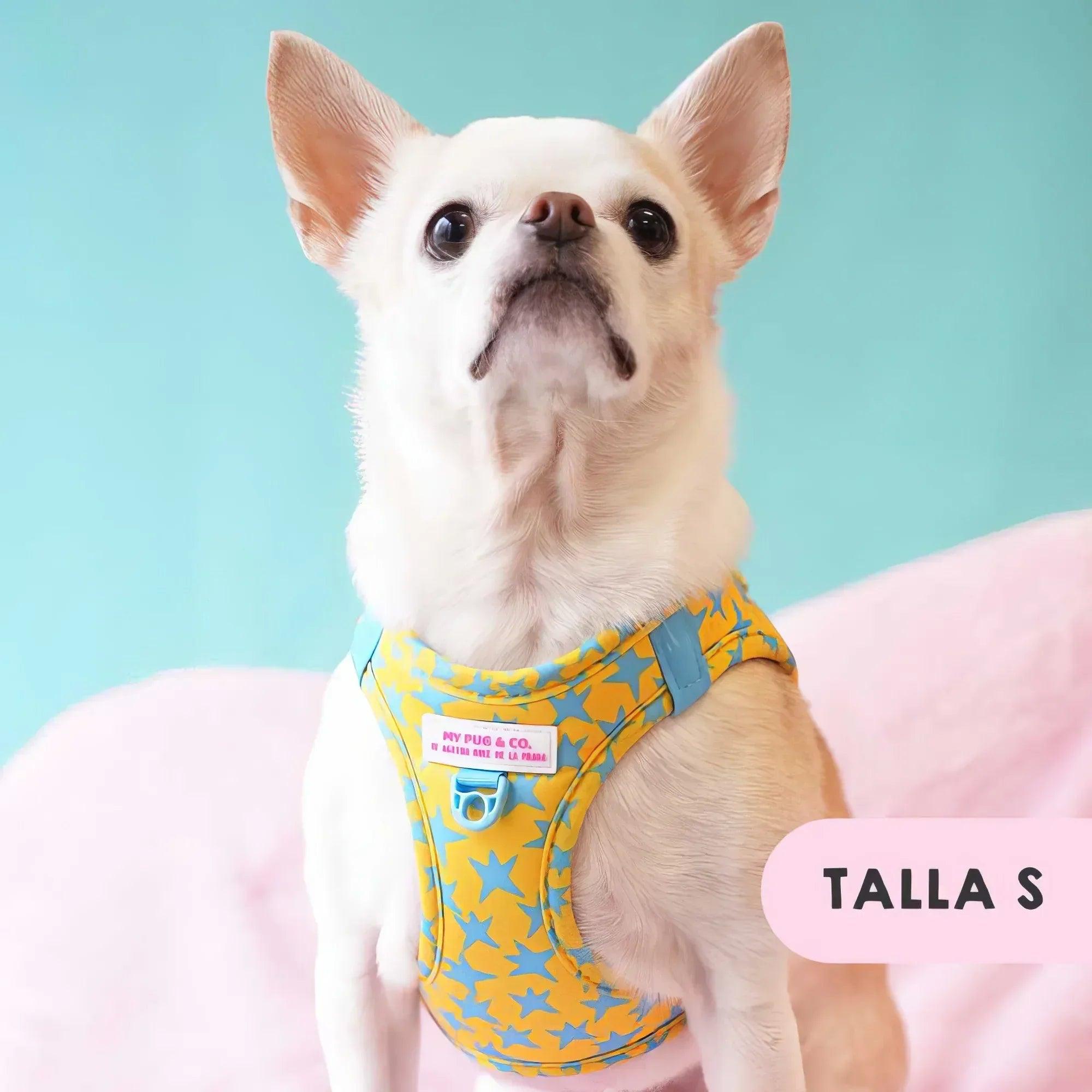 Body ajustable para perro blanco con estampado amarillo y azul de estrellas