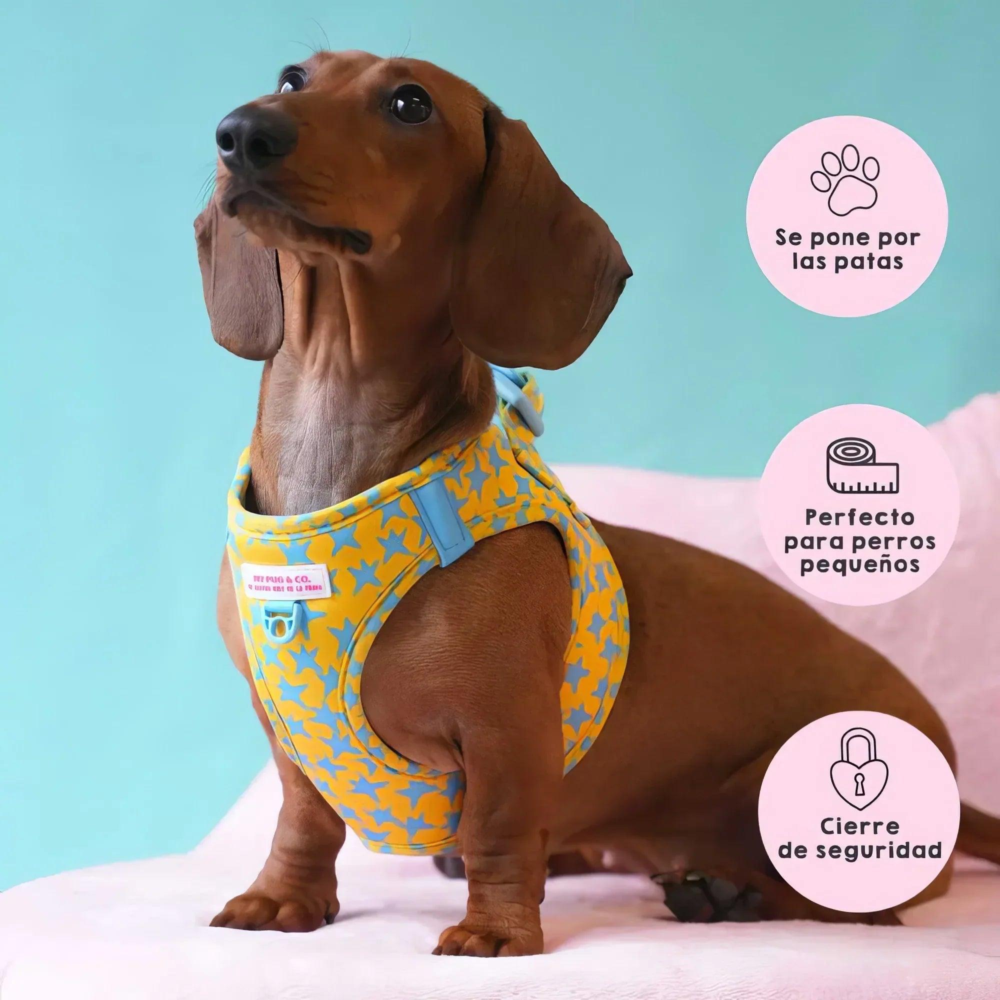 Body ajustable para perro con estampado de estrellas, diseño con cierre de seguridad