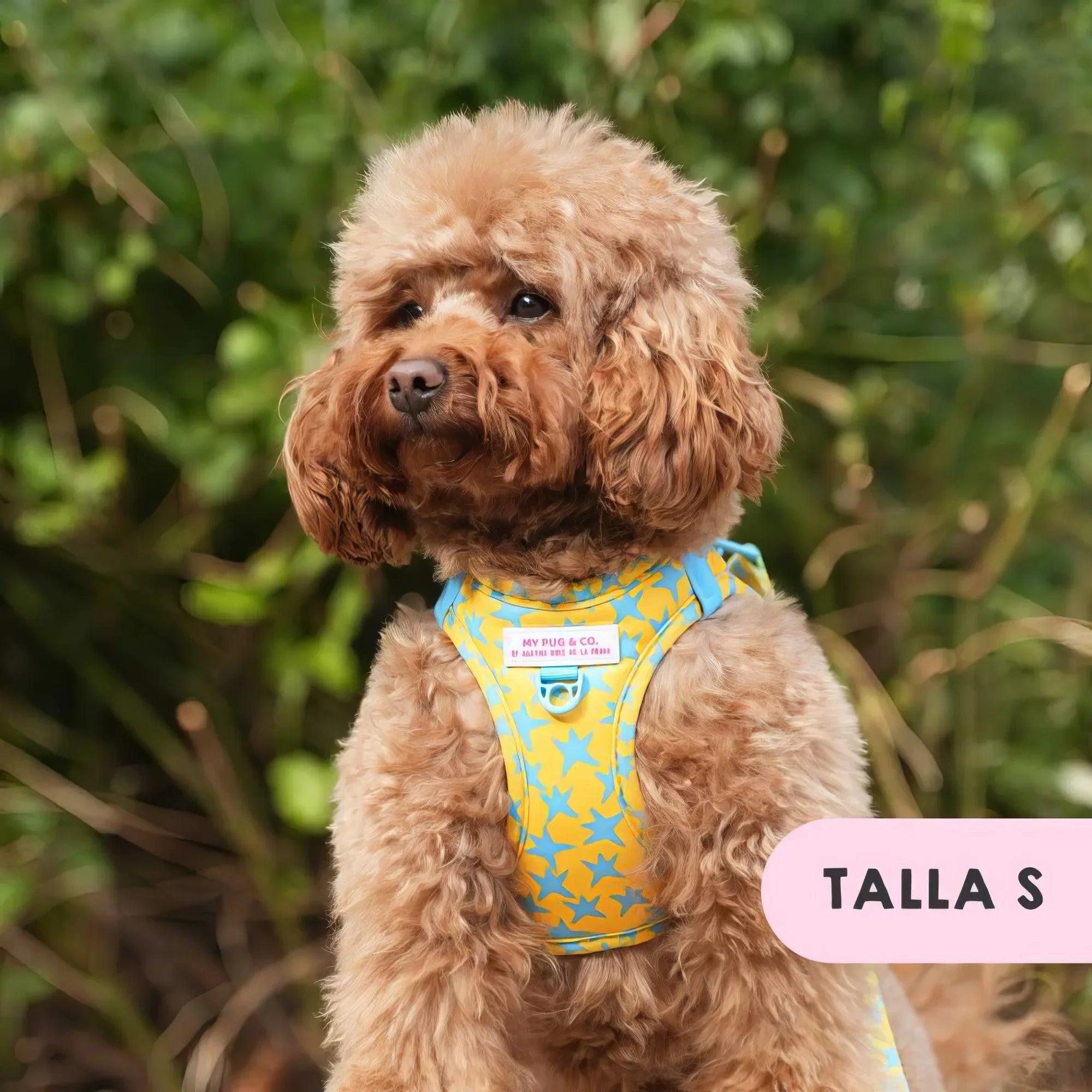 Body ajustable para perro peludo marrón claro con estampado de estrellas amarillas y azules
