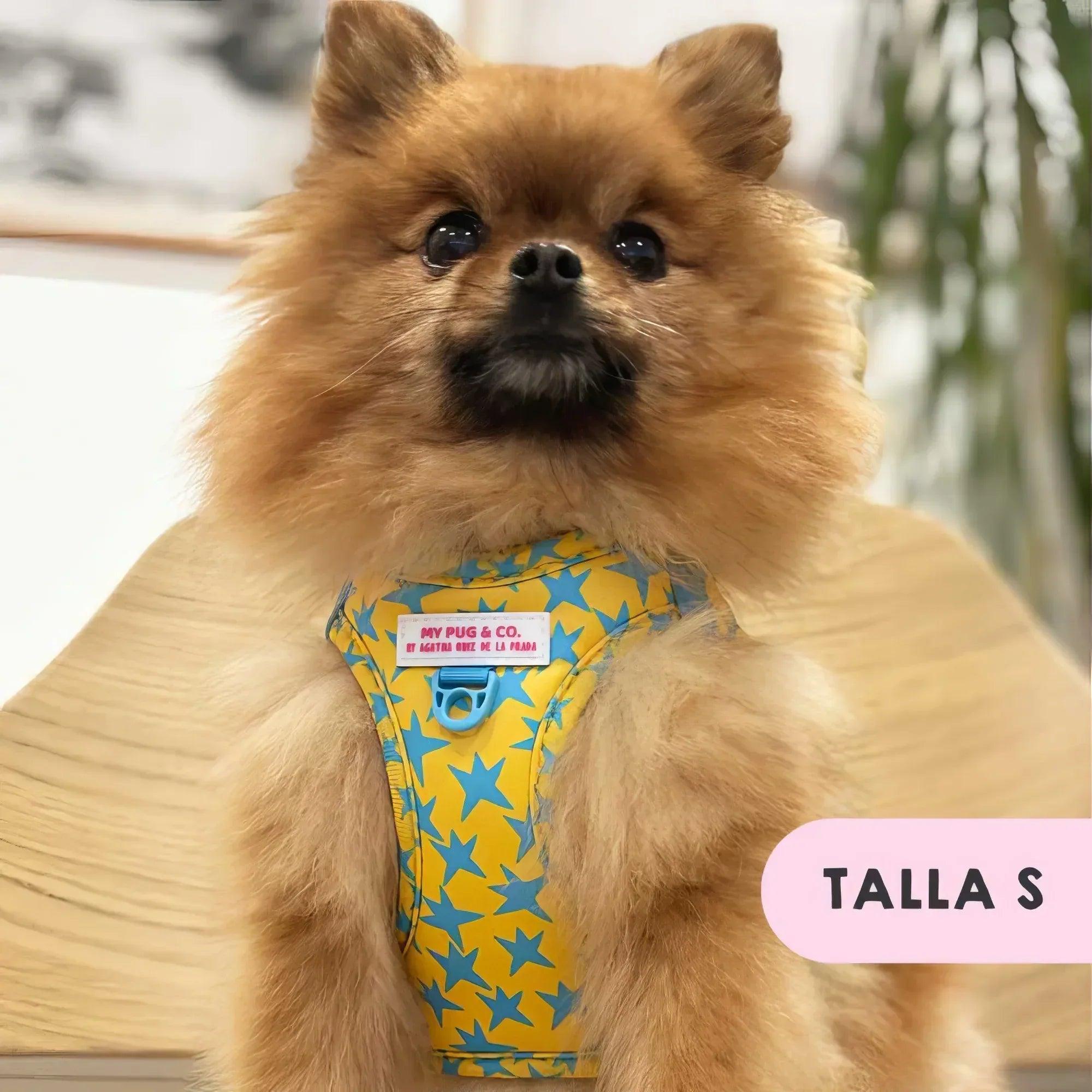 Body ajustable para perro pequeño color canela con estampado de estrellas amarillas y azules