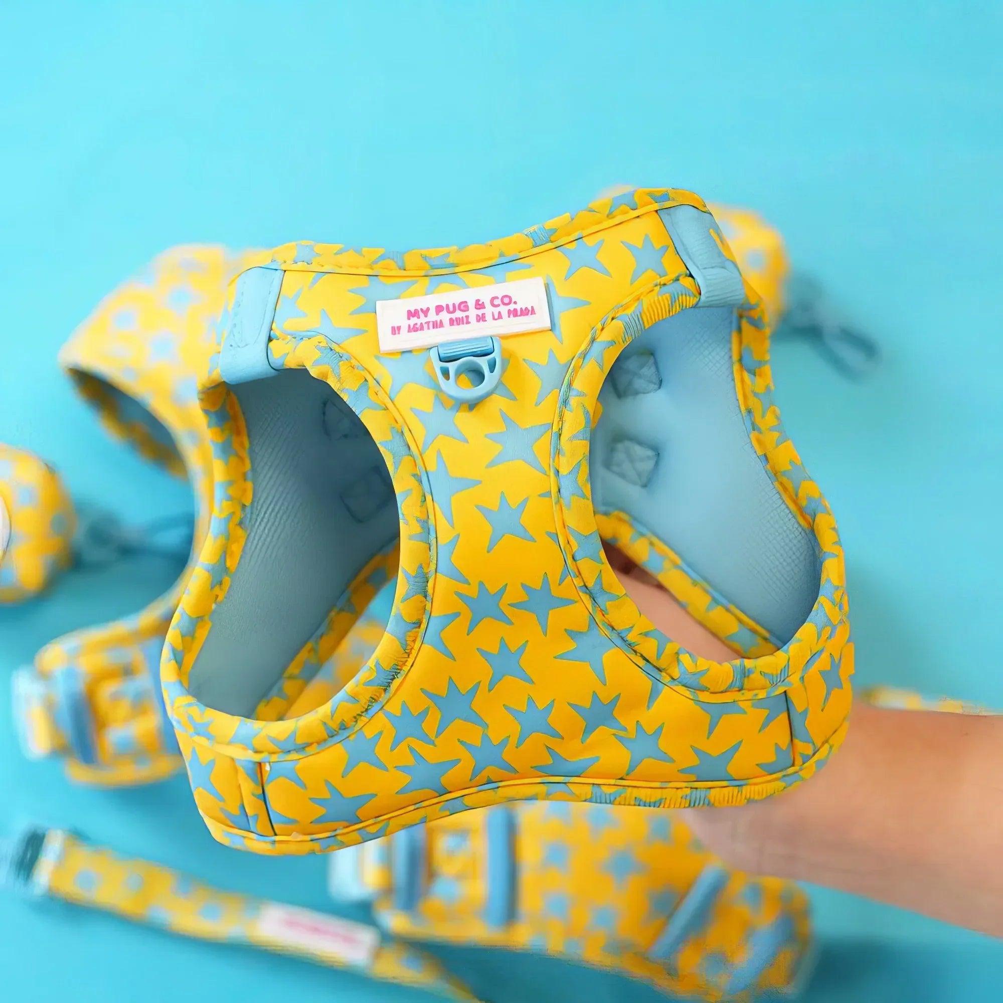 Body ajustable para perro con estrellas amarillas y azules, detalle de la etiqueta frontal