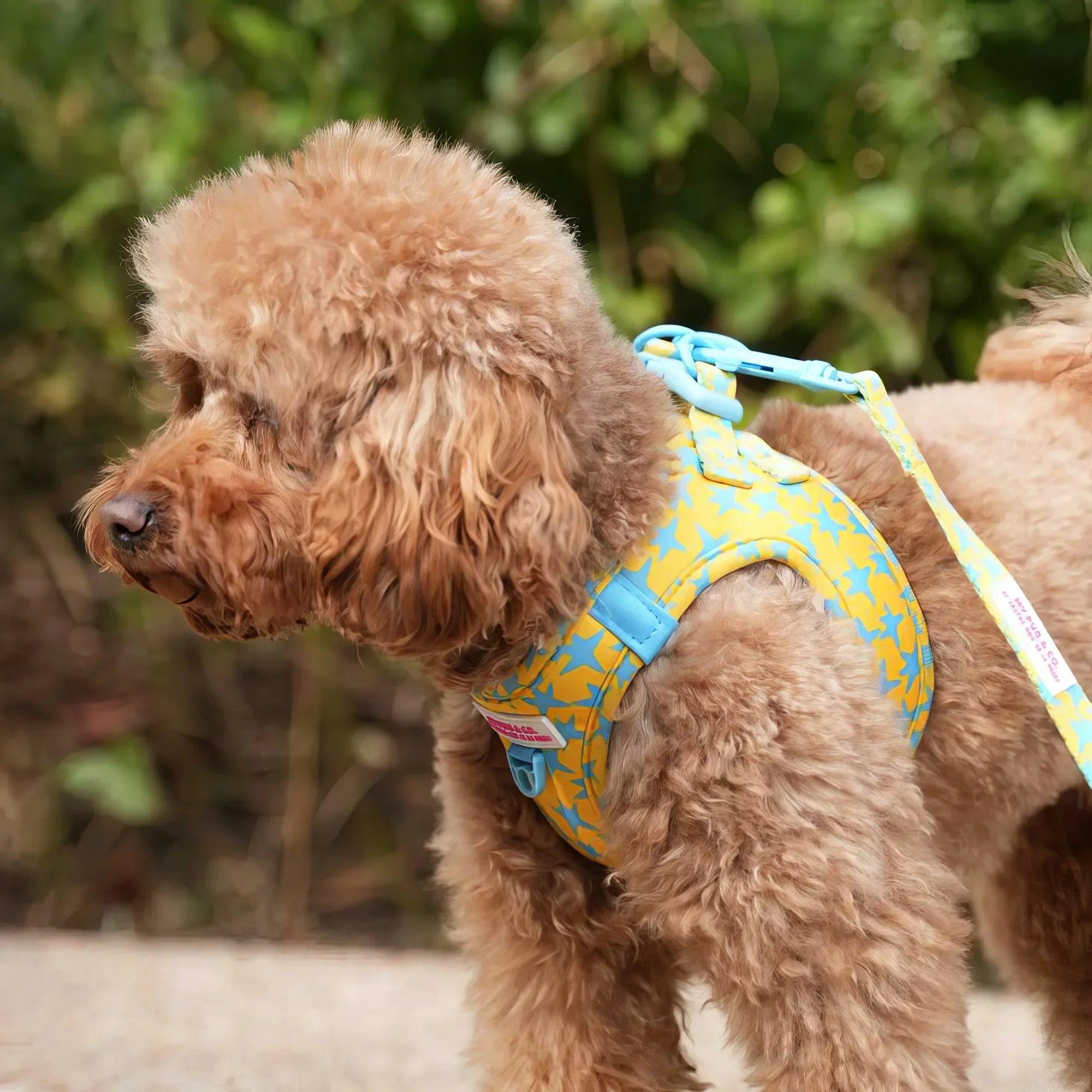 Body ajustable para perro con estampado de estrellas amarillas y azules, vista lateral
