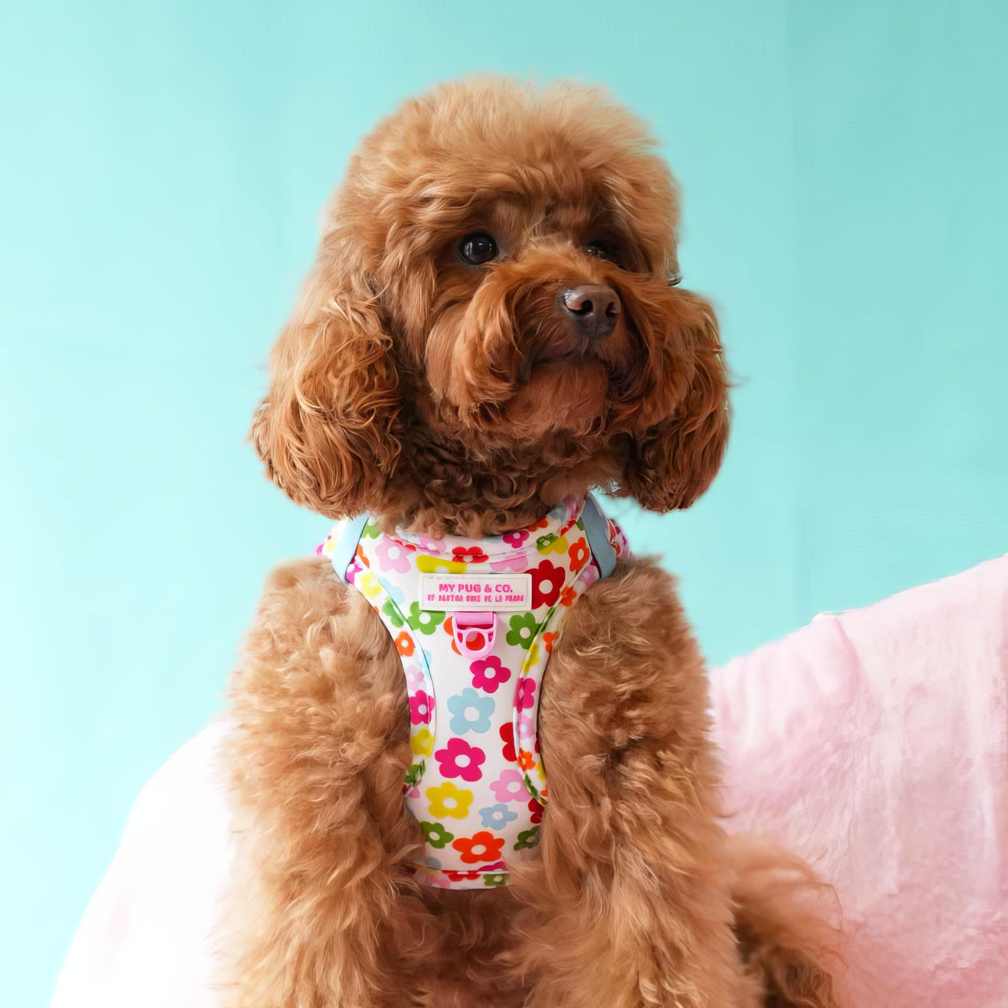 BODY AJUSTABLE FLORES