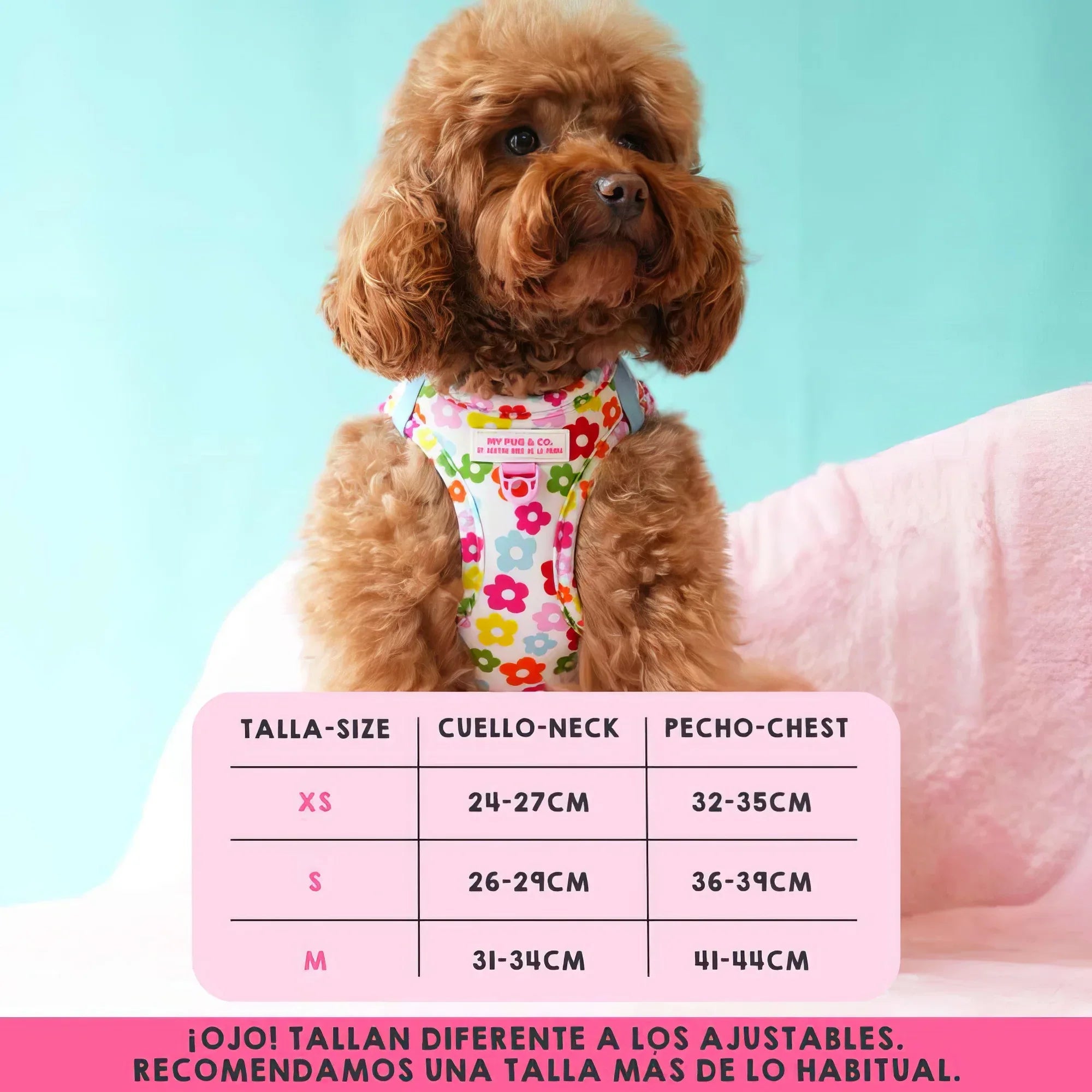 BODY AJUSTABLE FLORES - Agatha Ruiz de la Prada