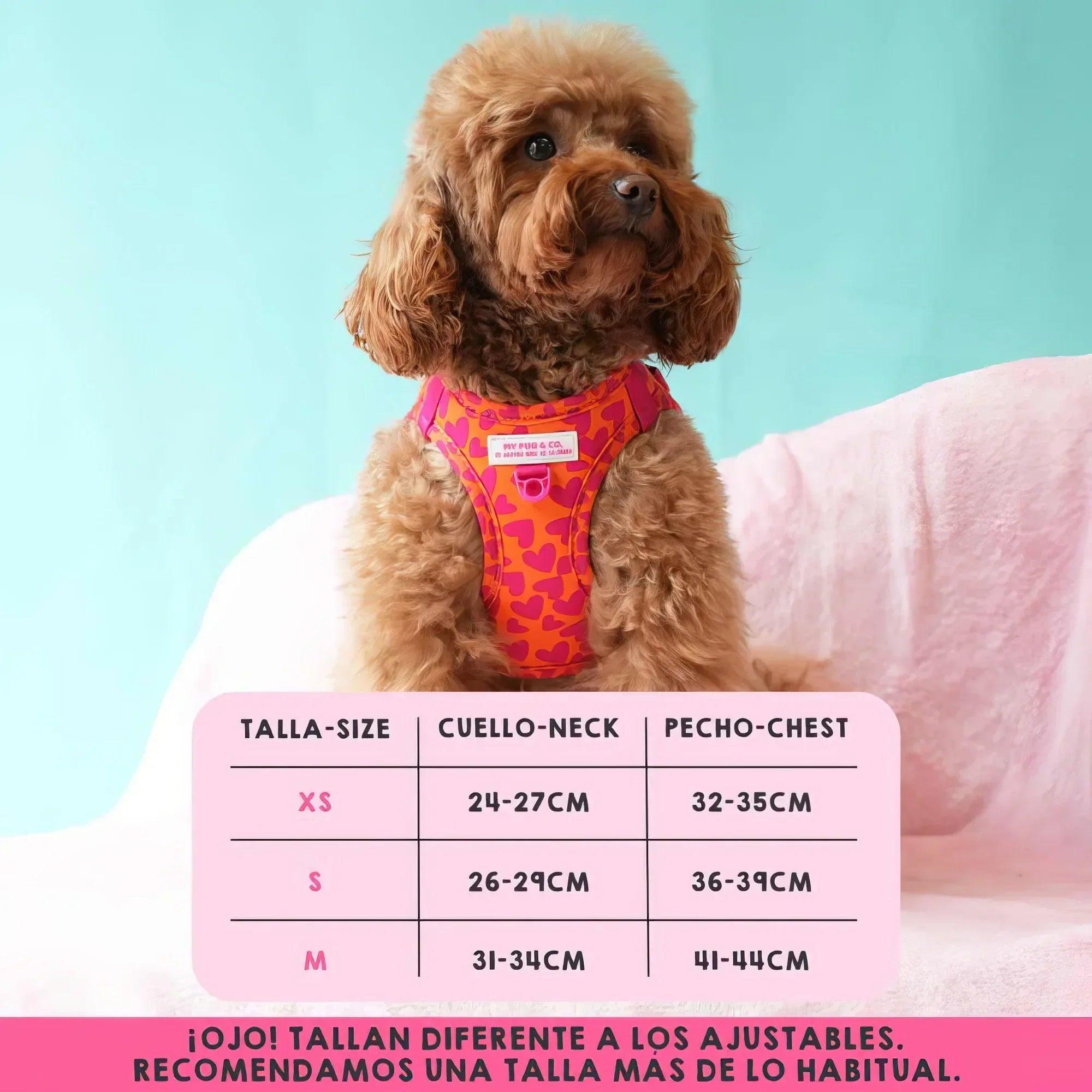 Arnés ajustable para perro con corazones rosa y naranja, puesto en el perro.