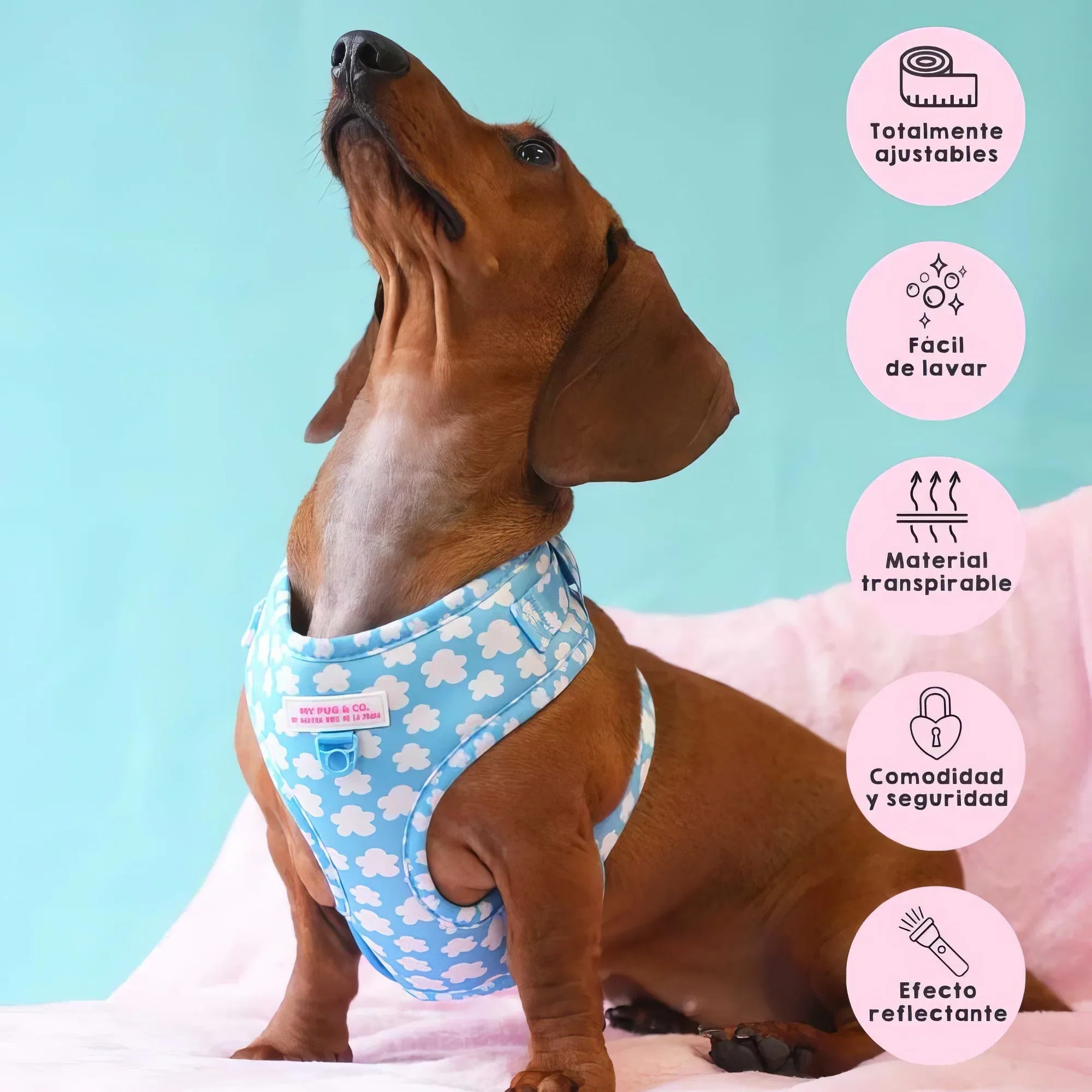 ARNES AJUSTABLE NUBES - Agatha Ruiz de la Prada