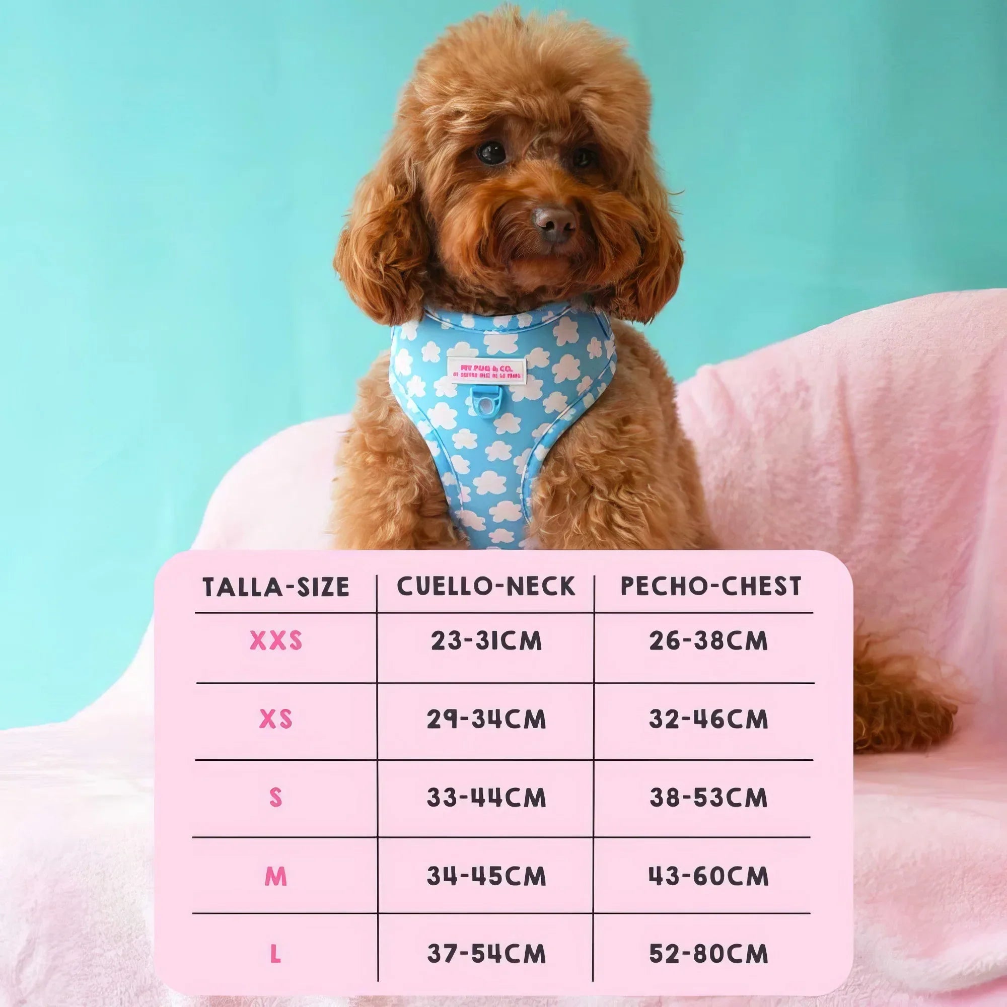 ARNES AJUSTABLE NUBES - Agatha Ruiz de la Prada