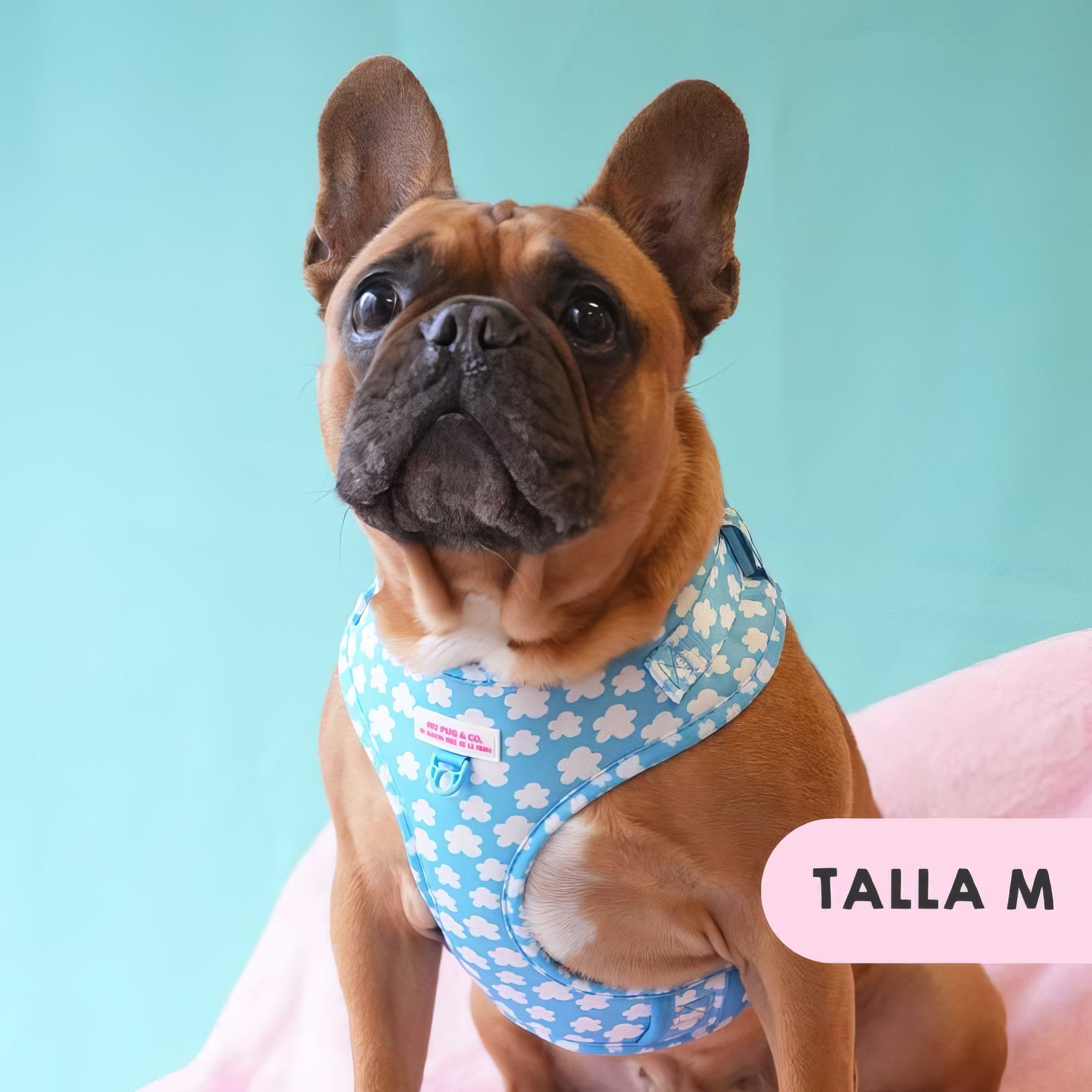 ARNES AJUSTABLE NUBES