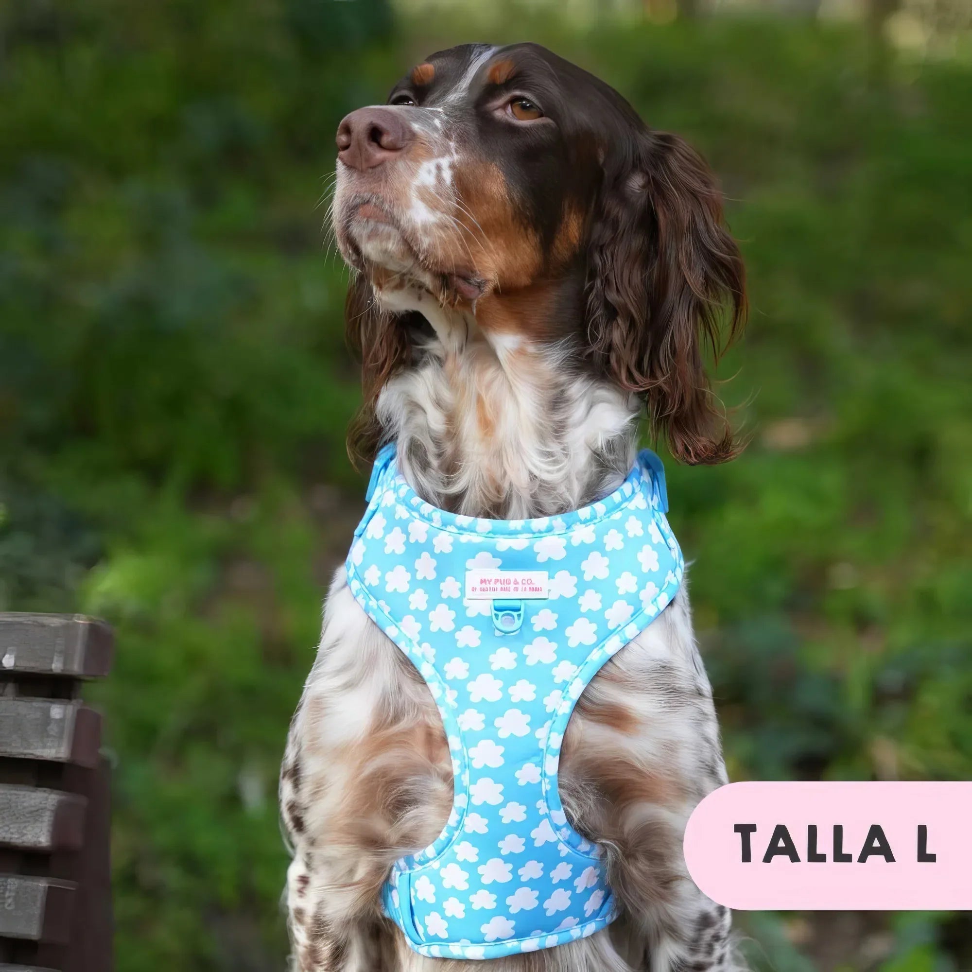 ARNES AJUSTABLE NUBES - Agatha Ruiz de la Prada