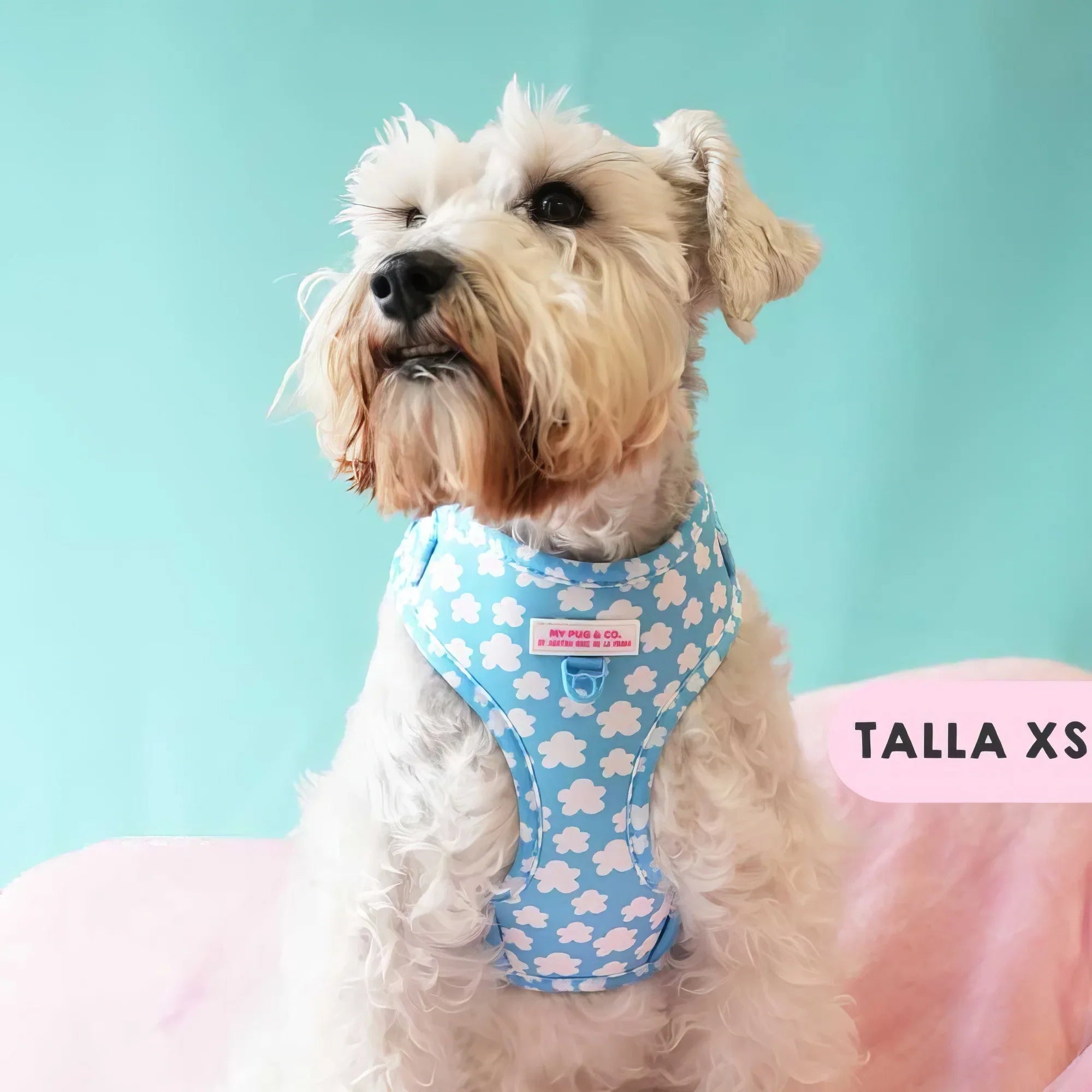 ARNES AJUSTABLE NUBES - Agatha Ruiz de la Prada