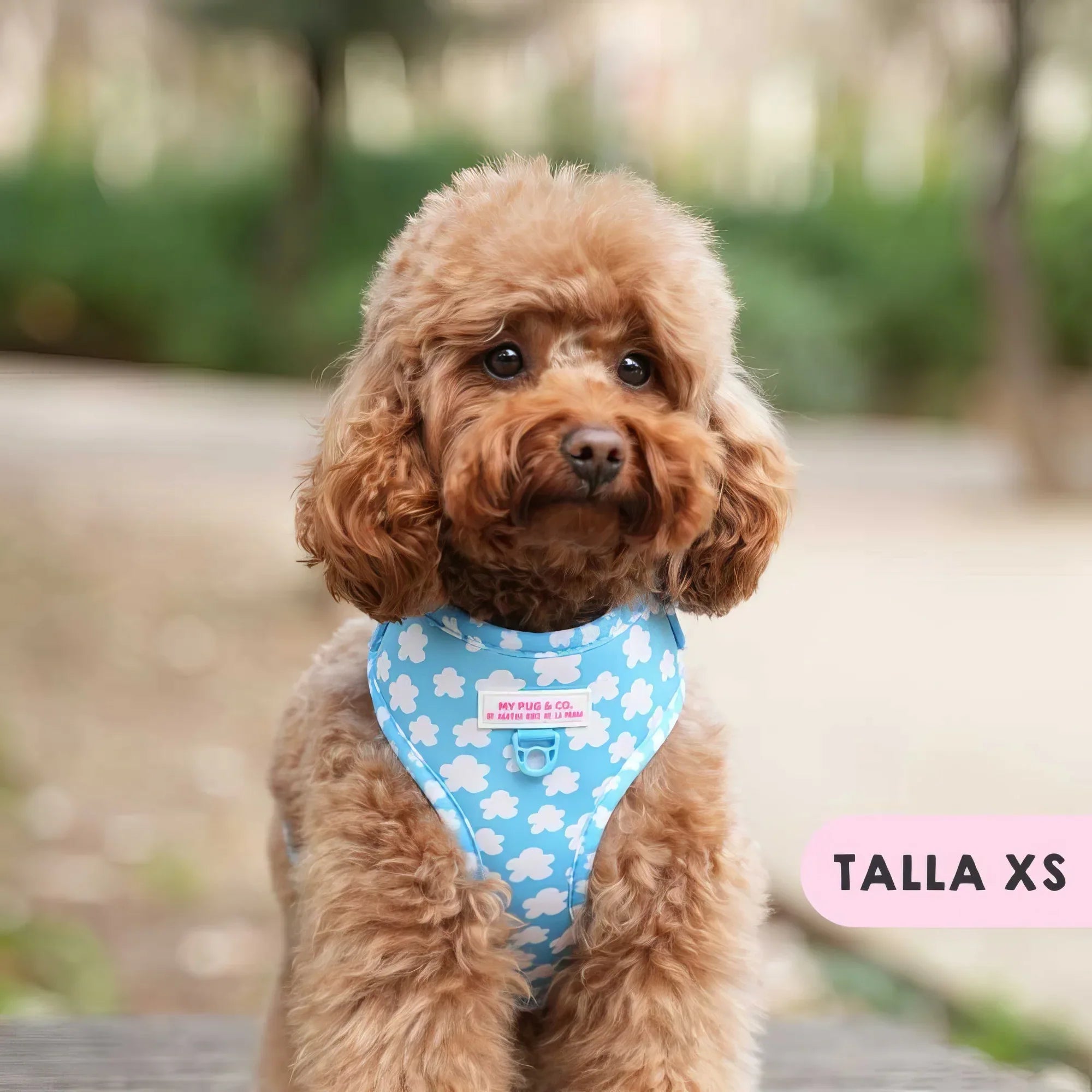 ARNES AJUSTABLE NUBES - Agatha Ruiz de la Prada