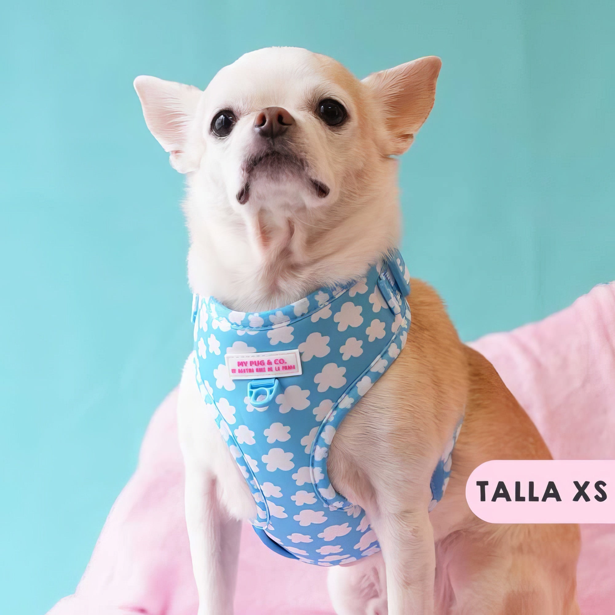 ARNES AJUSTABLE NUBES - Agatha Ruiz de la Prada