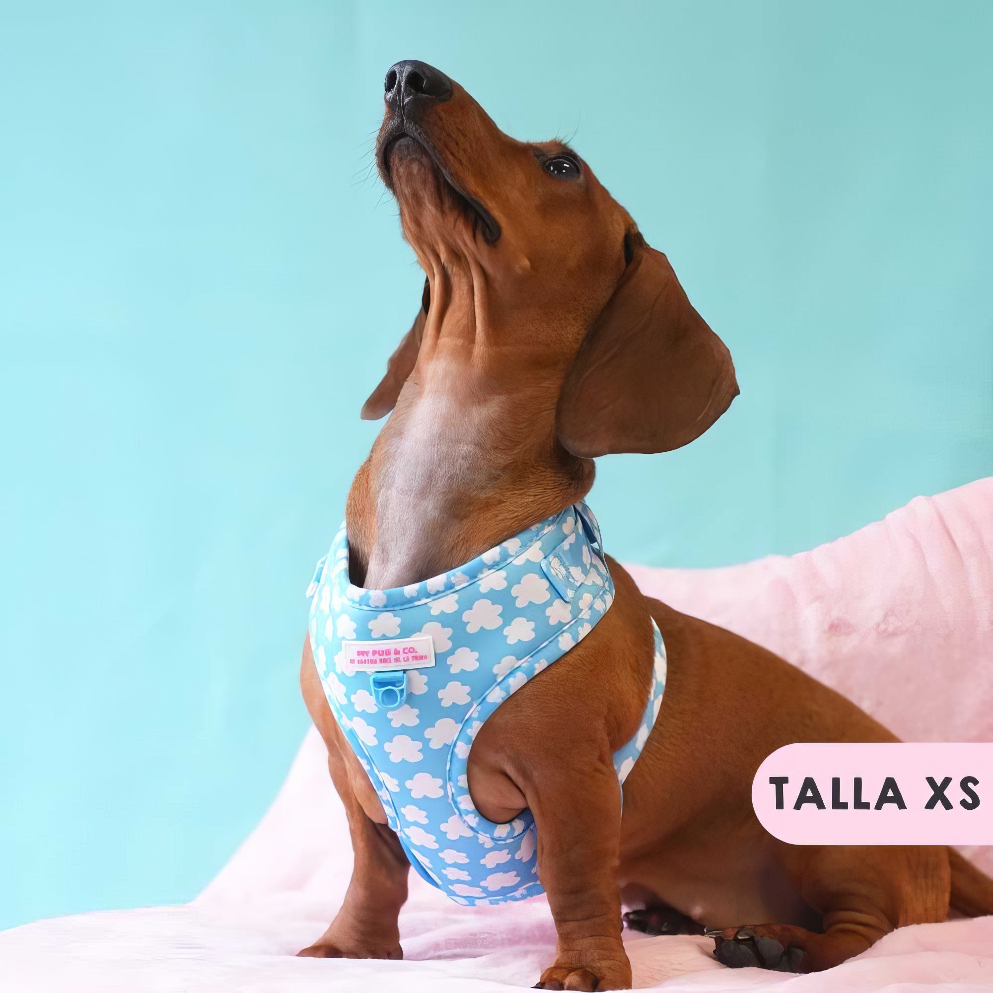 ARNES AJUSTABLE NUBES