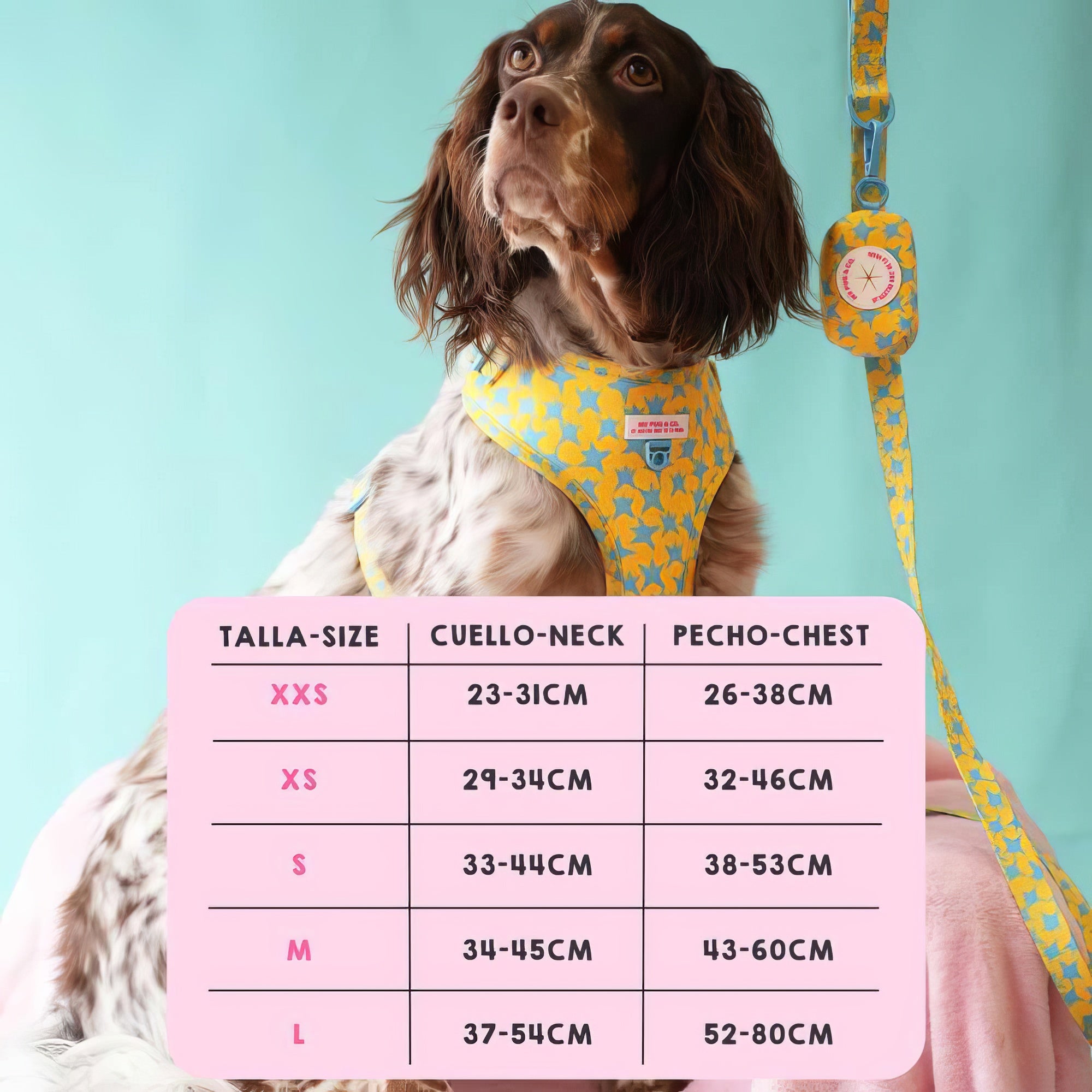 ARNES AJUSTABLE ESTRELLAS